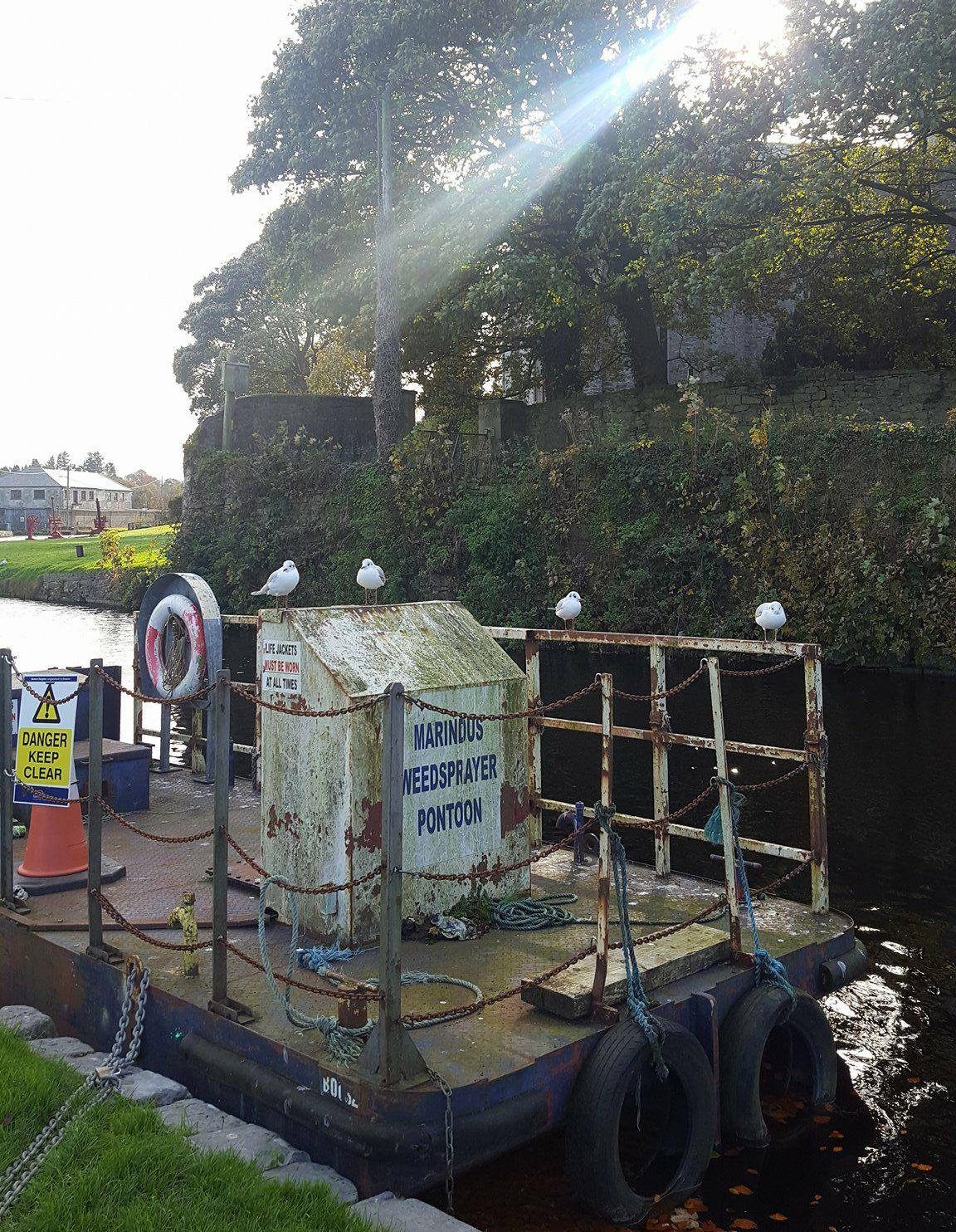 Bienvenue à Killaloe, petit village d'irlande