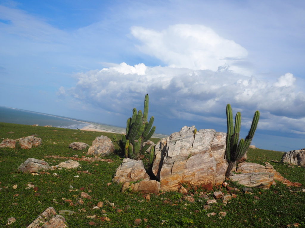 Jericoacoara, Ceara, Brésil. Dans les collines 