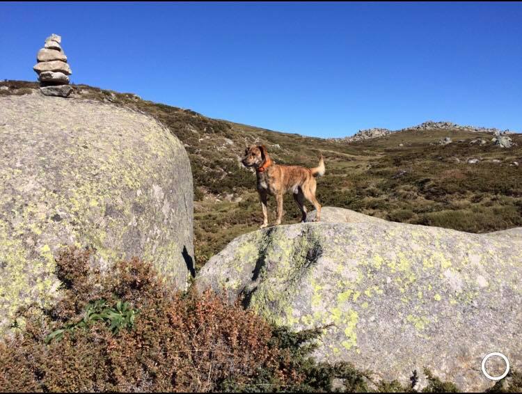 Cursinu Corse en promenade dans le maquis