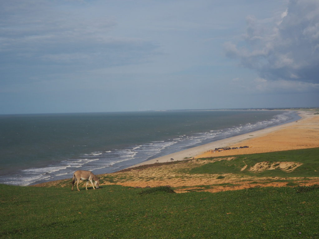 Jericoacoara, Brésil. En chemin vers la Pedra Furada