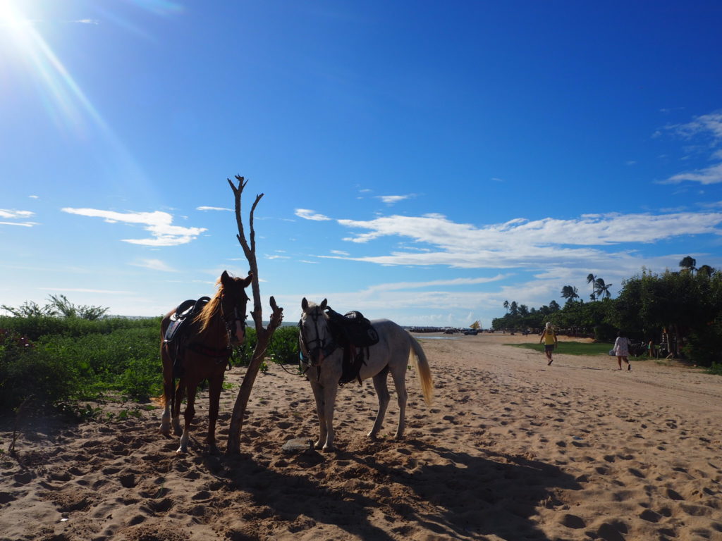 Balade à cheval, Jericoacoara, Ceara, Brésil