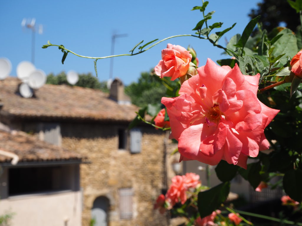 Village de Lourmarin dans le Luberon, Vaucluse. PACA. Fleurs