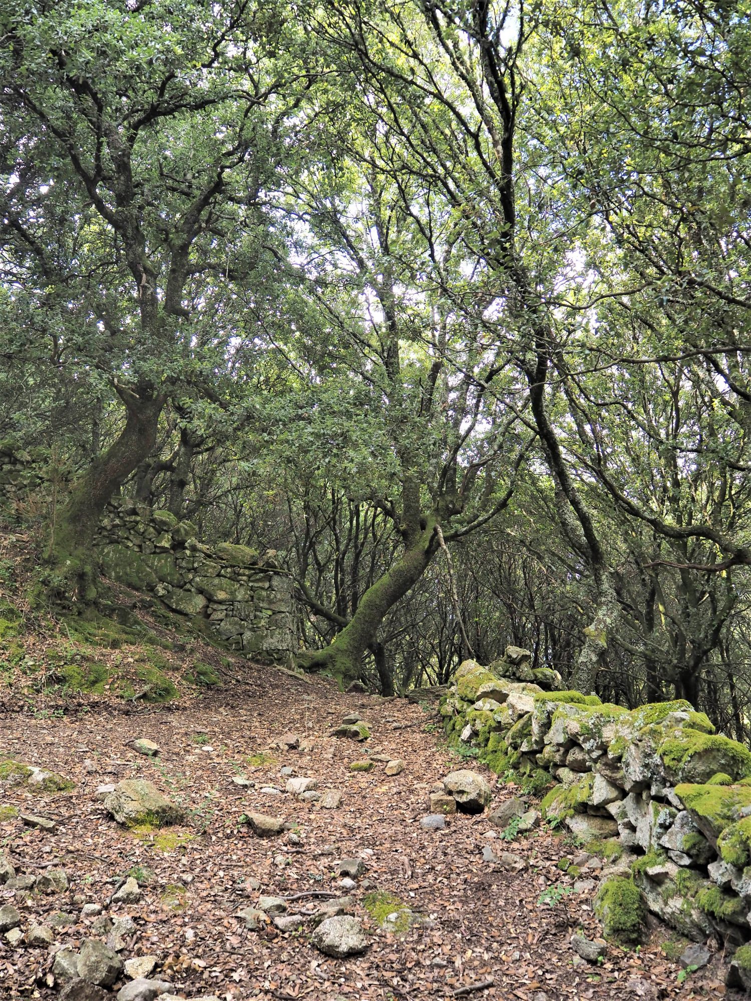 alta rocca randonnées