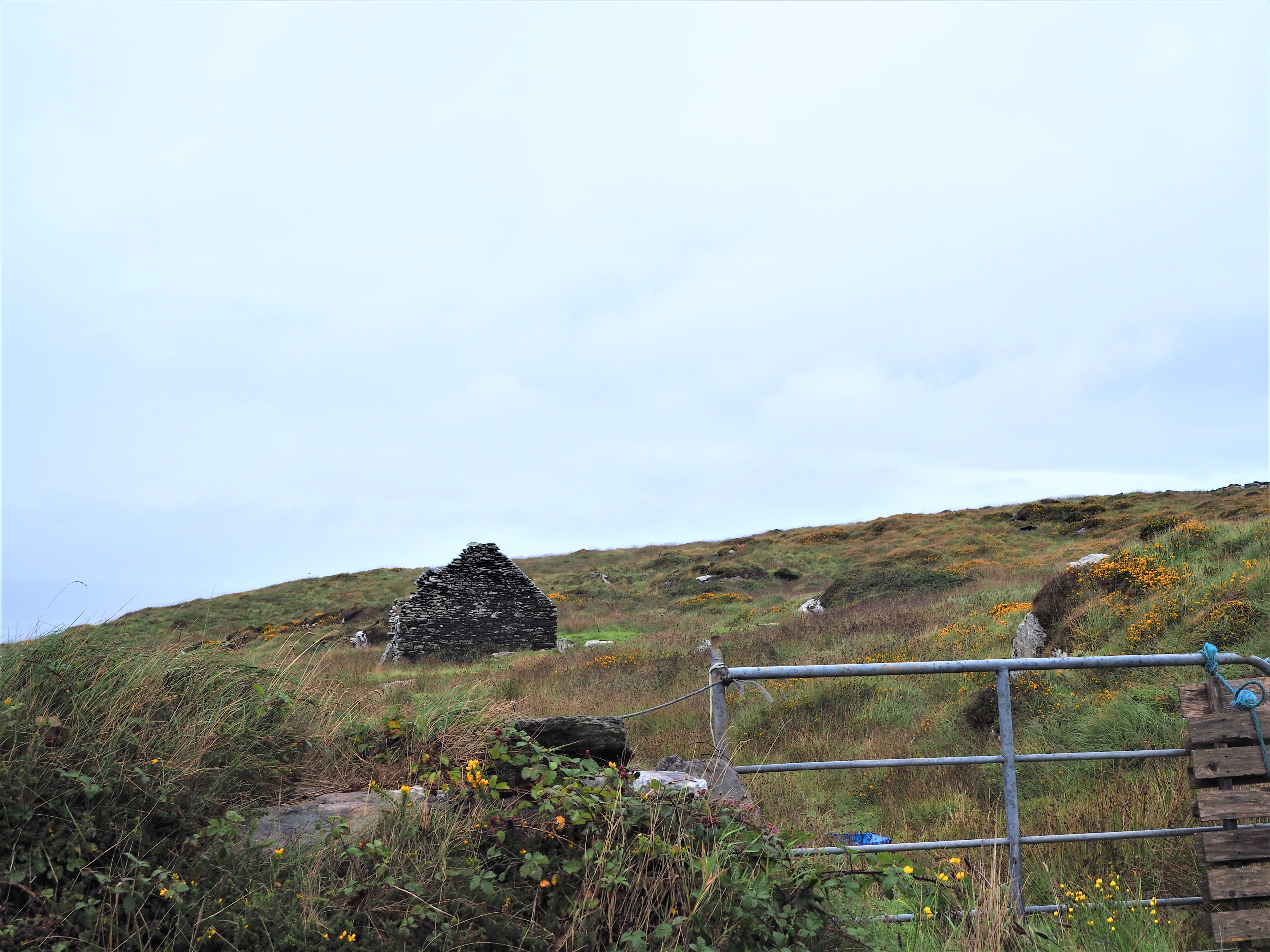 Valentia Island, Ring of Kerry, Irlande