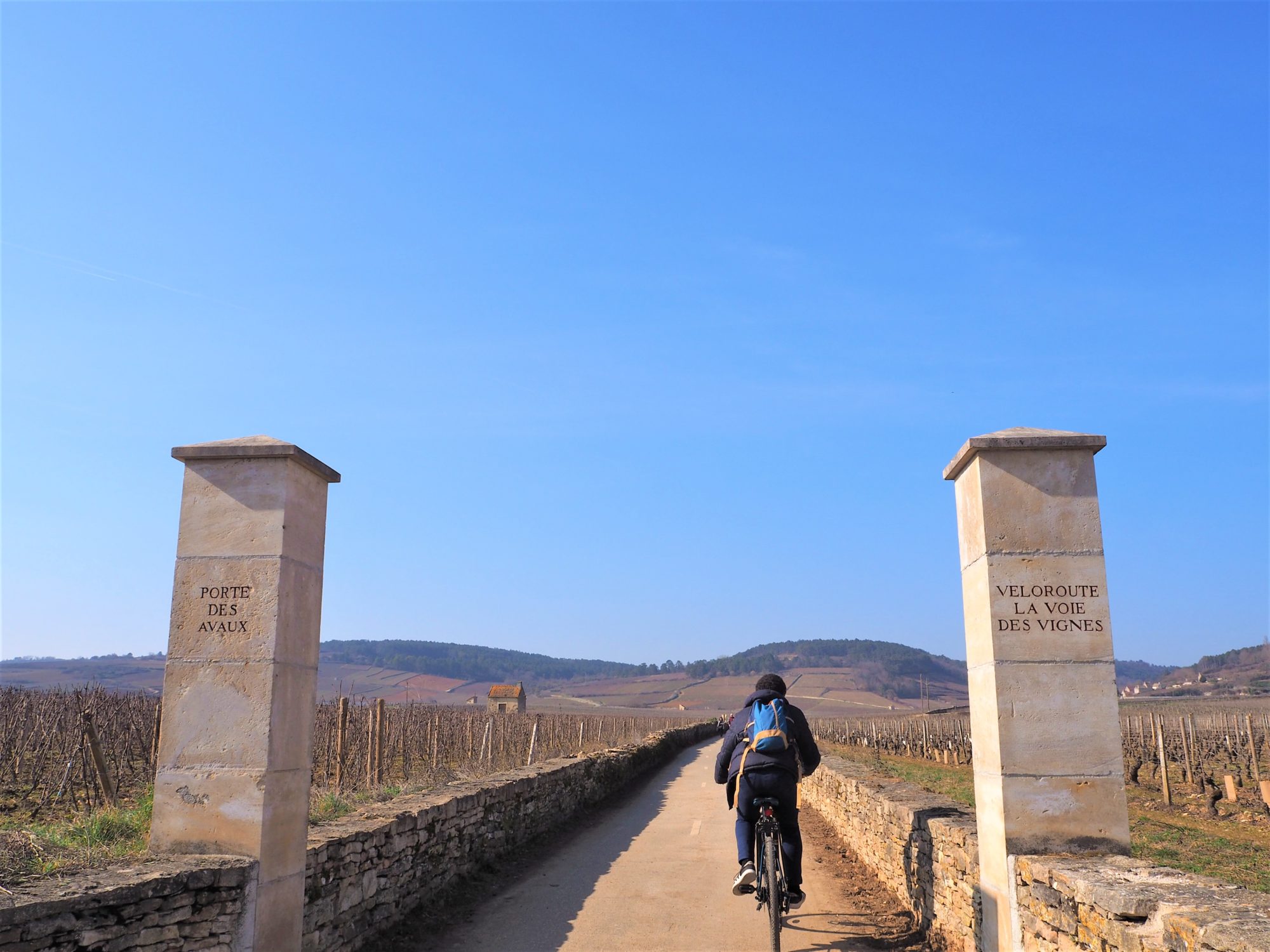 Entrée de la voie des vignes bourgogne, beaune, France clioandco slow travel