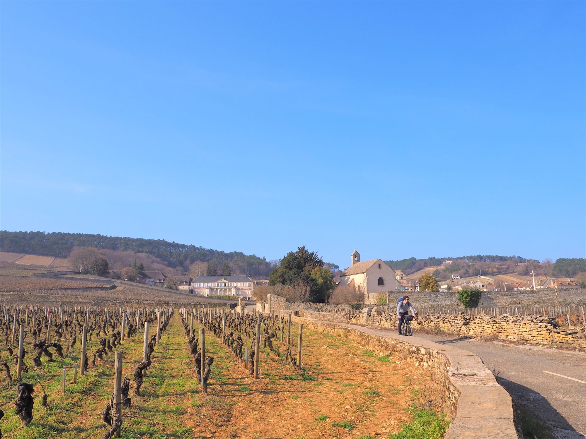 La Bourgogne en automne La voie des vignes En sortant de Volnay