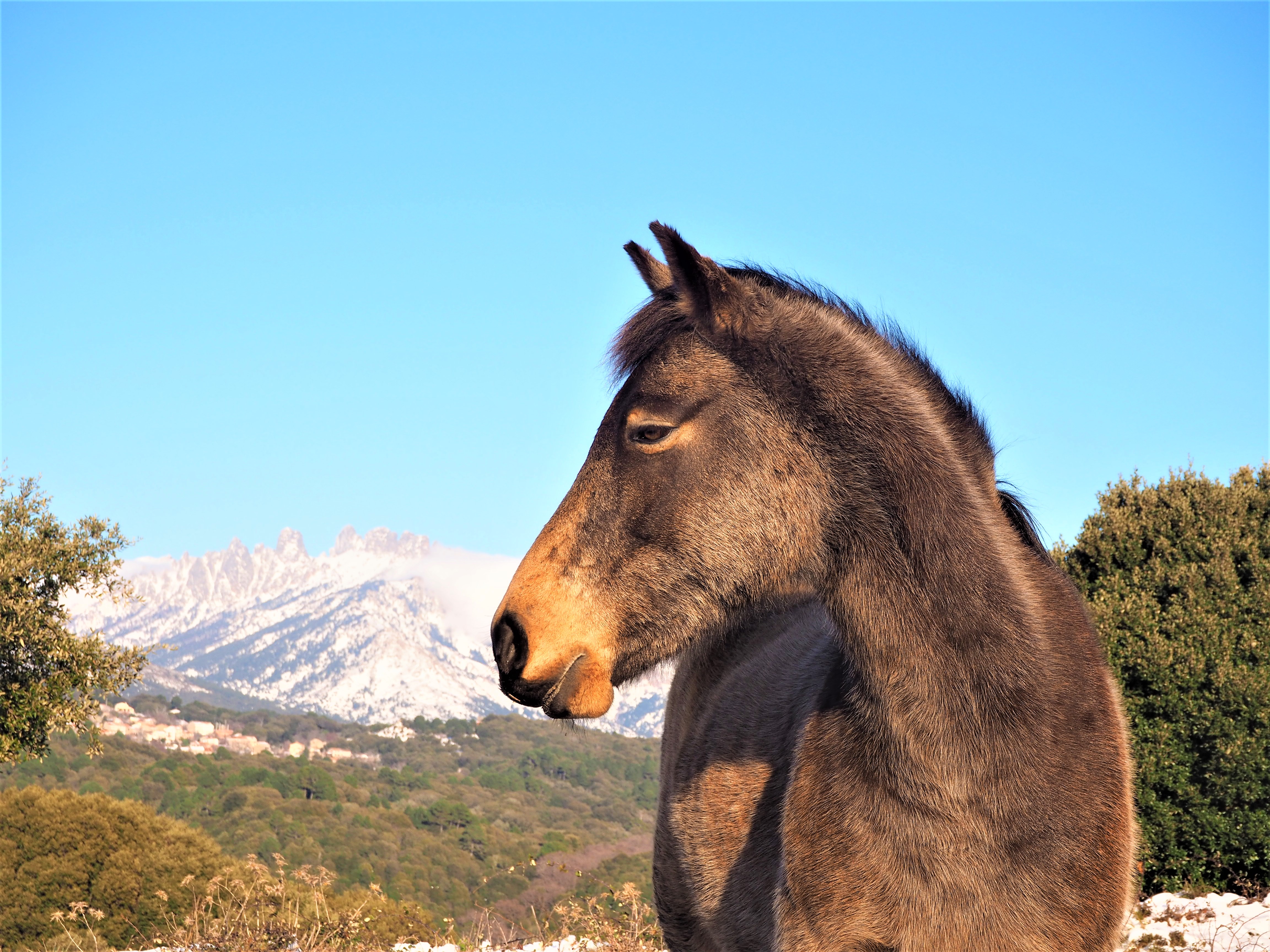 Aiguilles de Bavella Corse voyage mots et expressions utiles blog clioandco