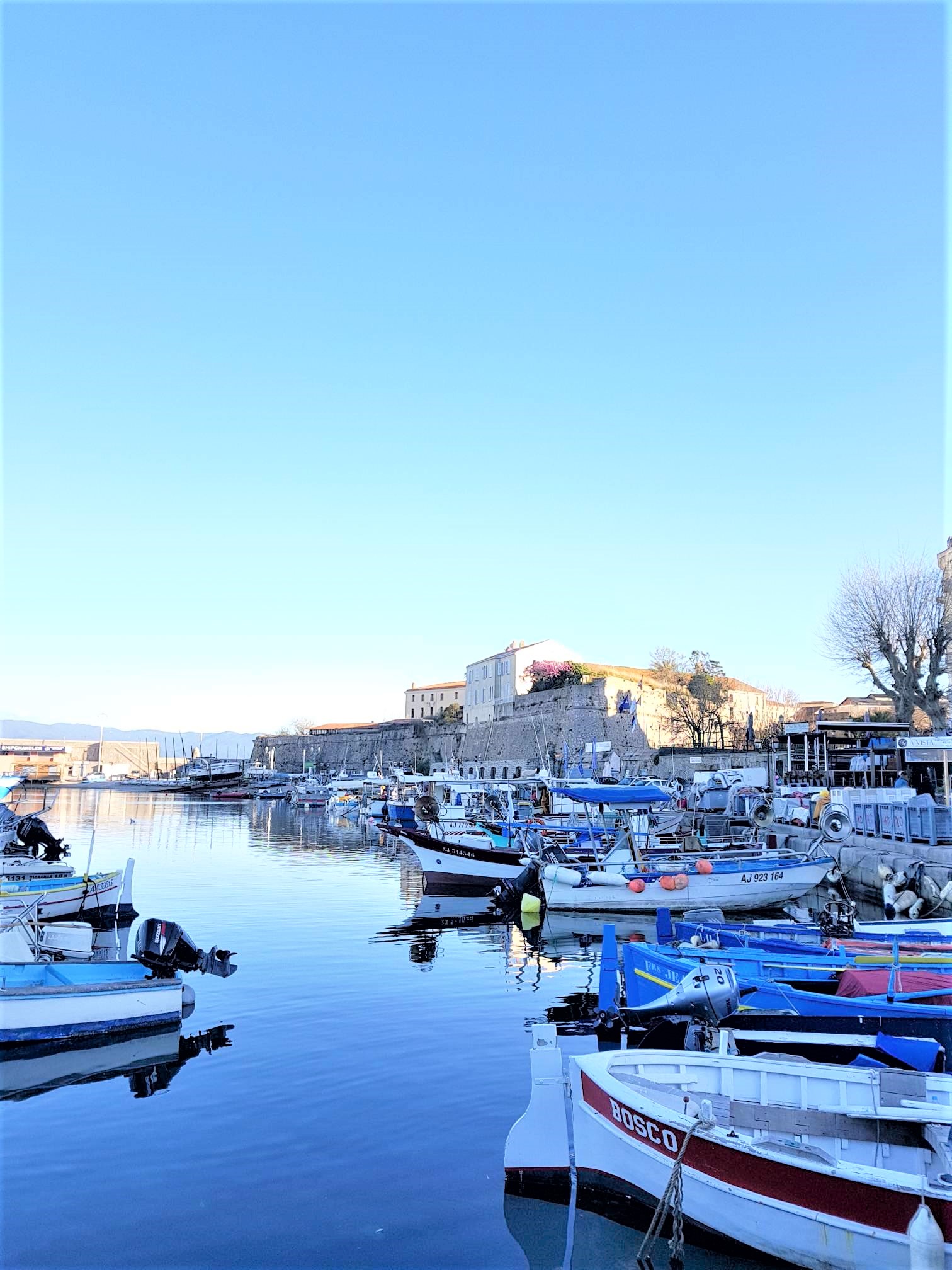 Ajaccio port