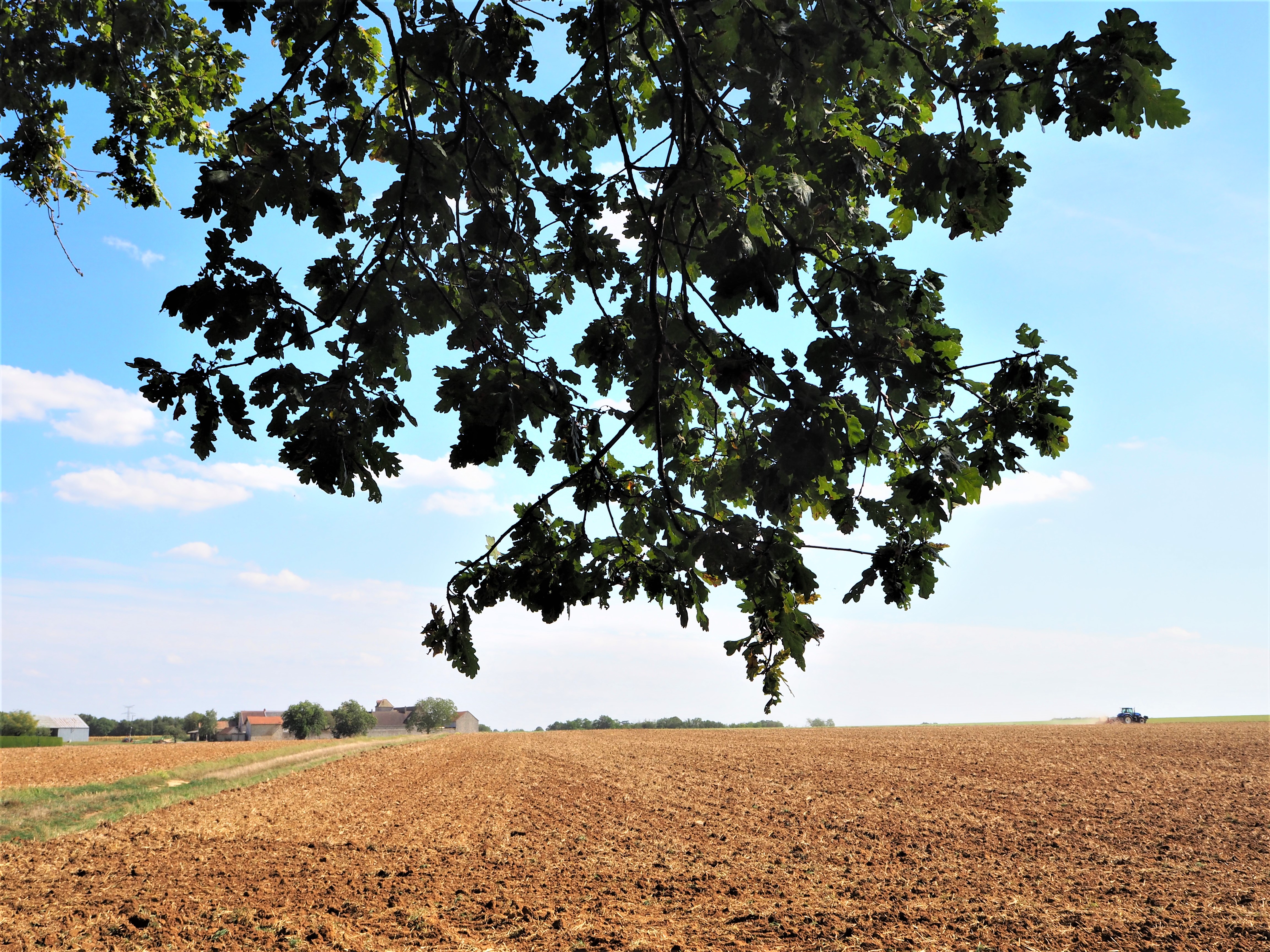 application visorando pour randonner autour de Paris champ agricole