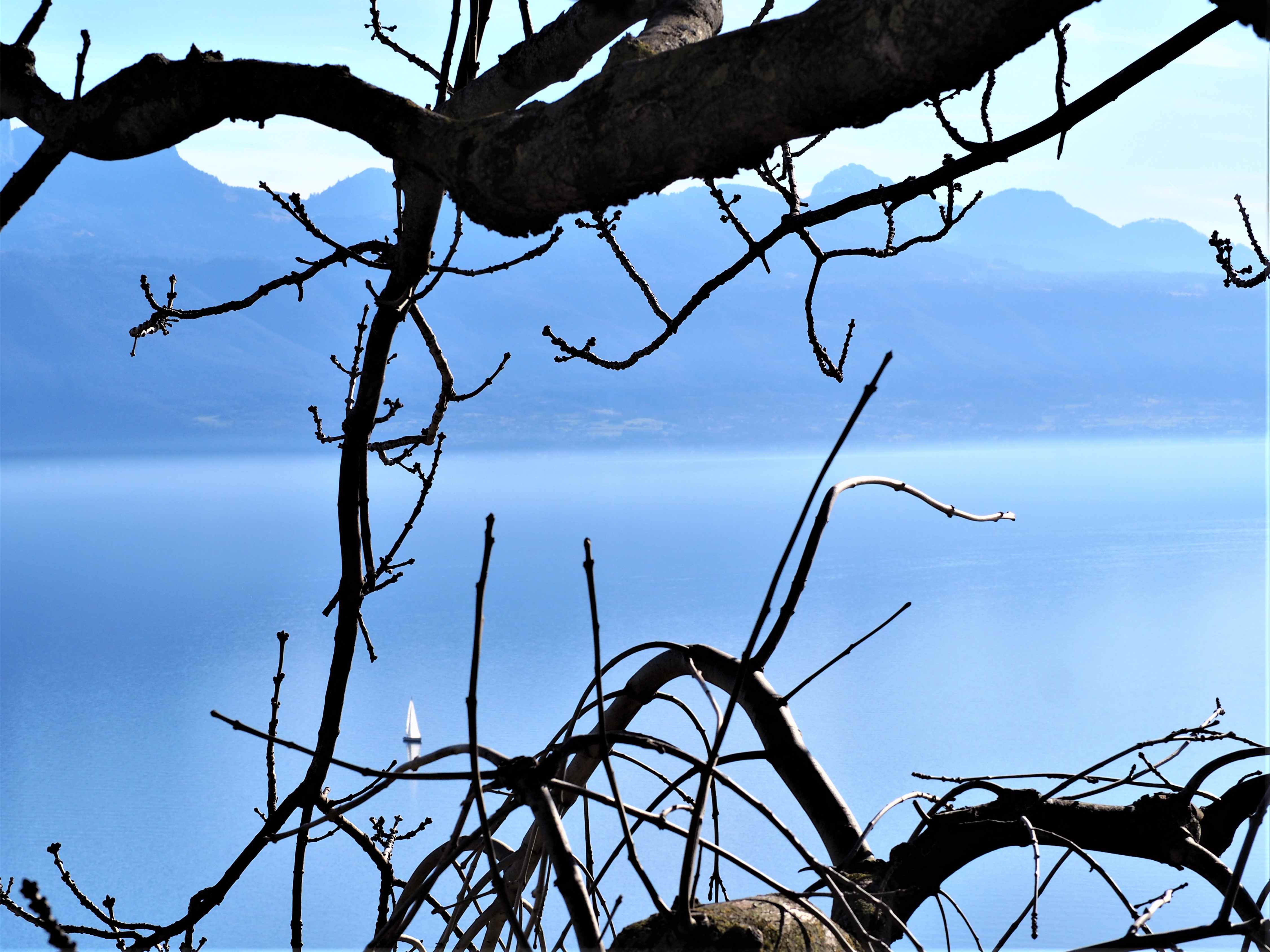 bateau-sur-le-lac-Clioandco-blog-voyage-lausanne-suisse-canton-de-vaud-Lavaux-balade