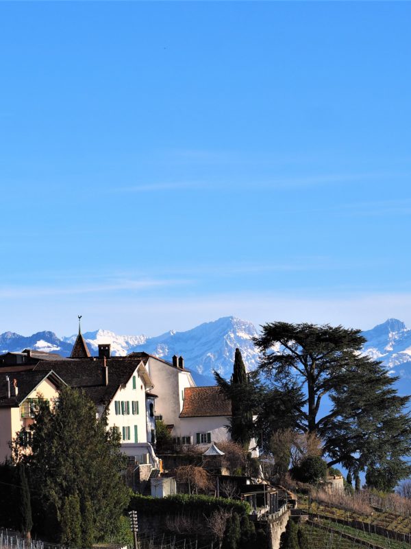 bourg-en-lavaux-Clioandco-blog-voyage-lausanne-suisse-canton-de-vaud-Lavaux-balade.