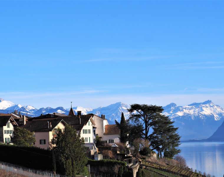 bourg-en-lavaux-Clioandco-blog-voyage-lausanne-suisse-canton-de-vaud-Lavaux-balade.