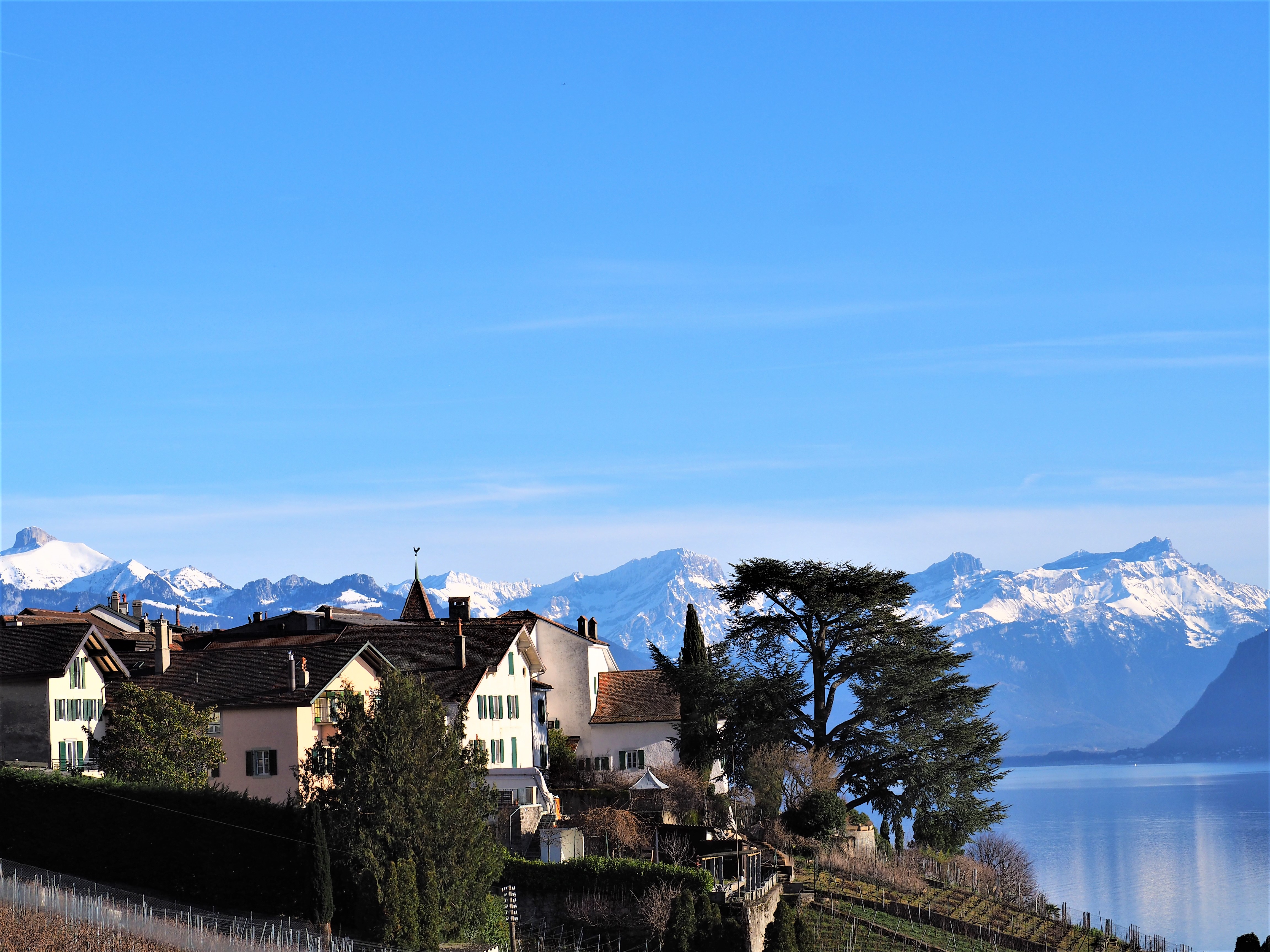 bourg-en-lavaux-Clioandco-blog-voyage-lausanne-suisse-canton-de-vaud-Lavaux-balade.