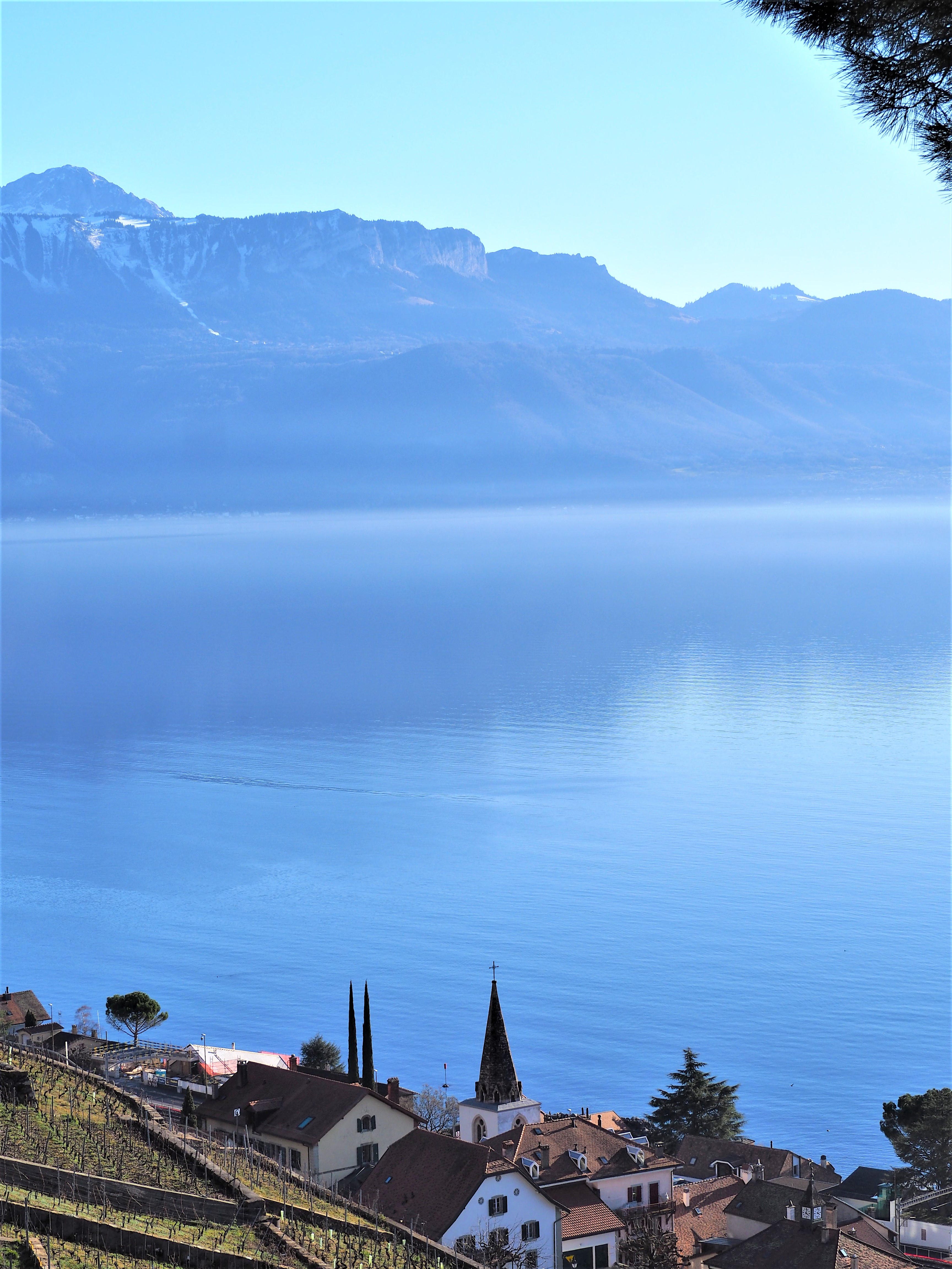 vignoble-de-lavaux-et-village-de-cully-Clioandco-blog-voyage-lausanne-suisse-canton-de-vaud-Lavaux-balade.