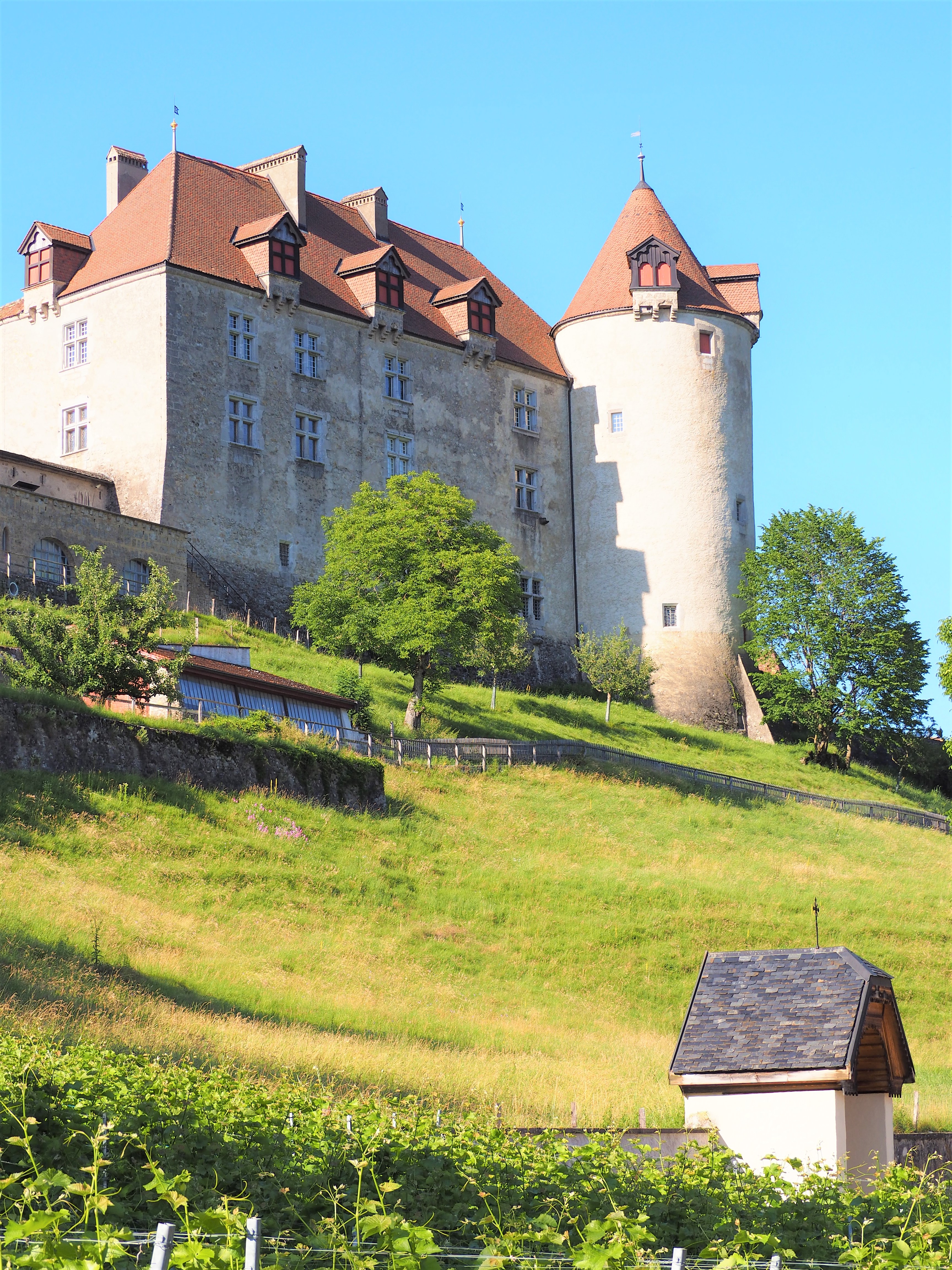 Visiter-Gruyères-canton-de-Fribourg-Suisse-chateau-vue-den-bas-clioandco