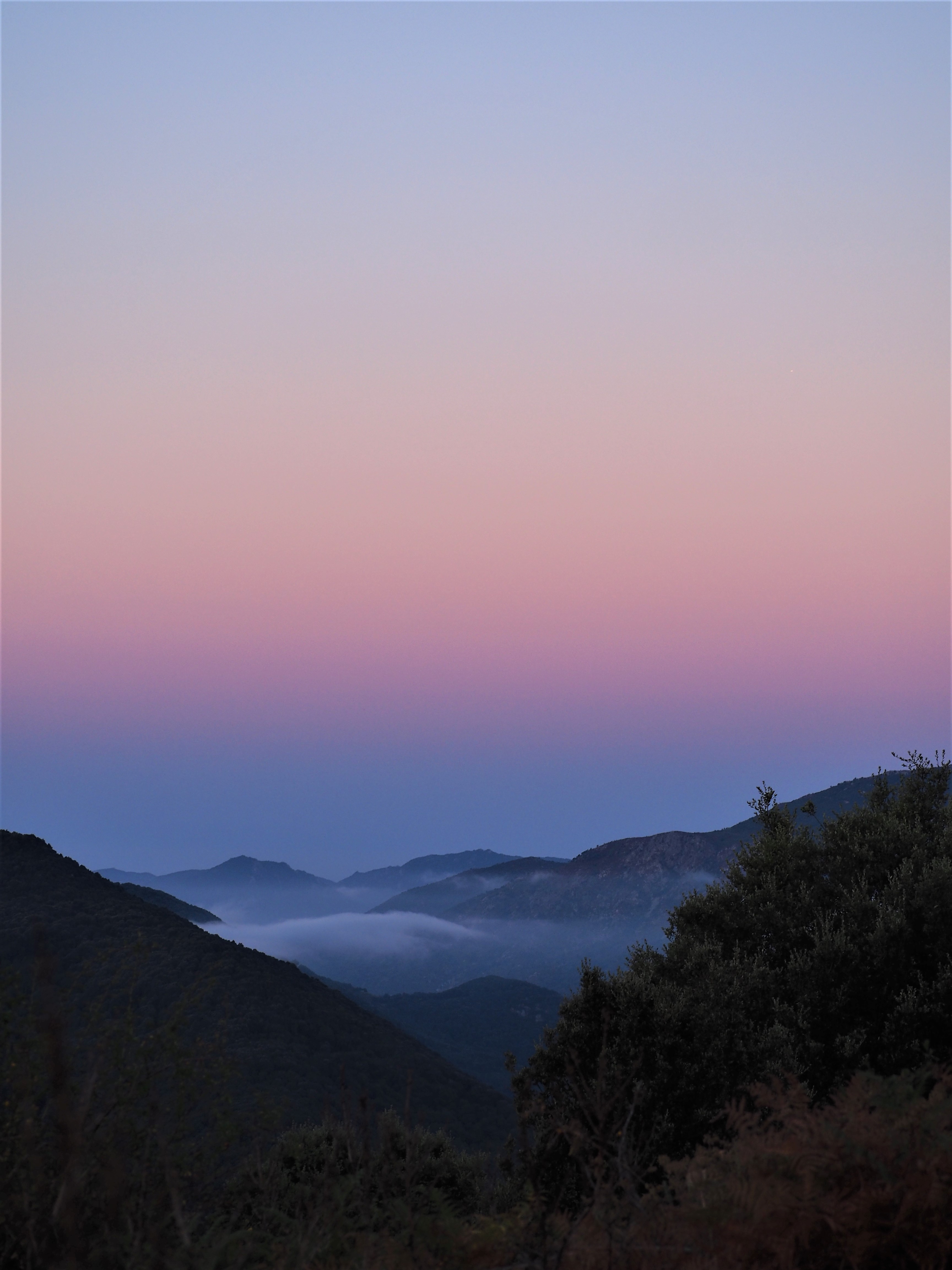 corse à l'aube montagnes alta rocca