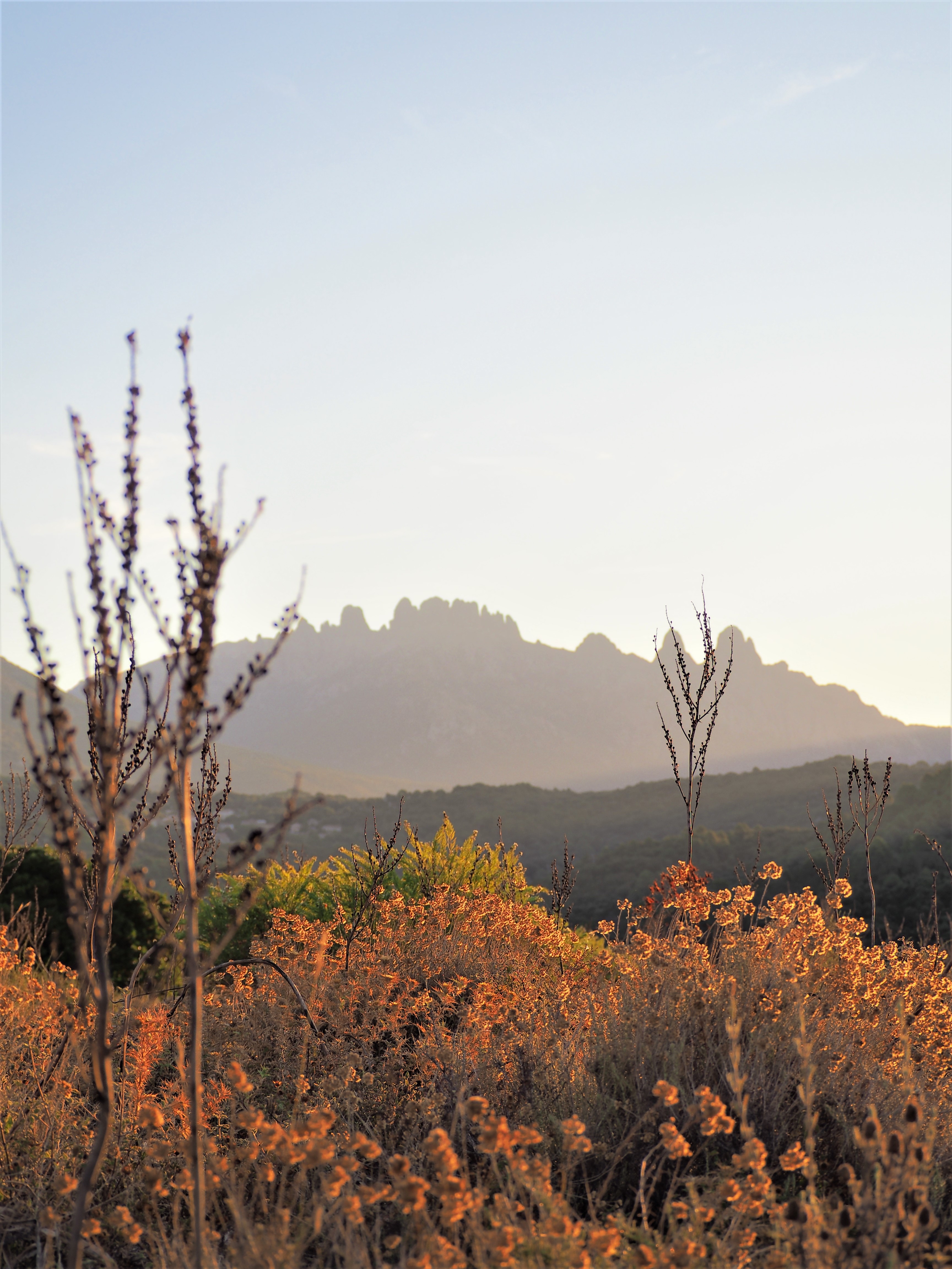 corse alta rocca blog voyage clioandco automne aurore