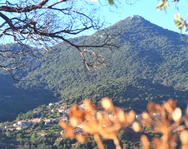 alta rocca village sorbollano