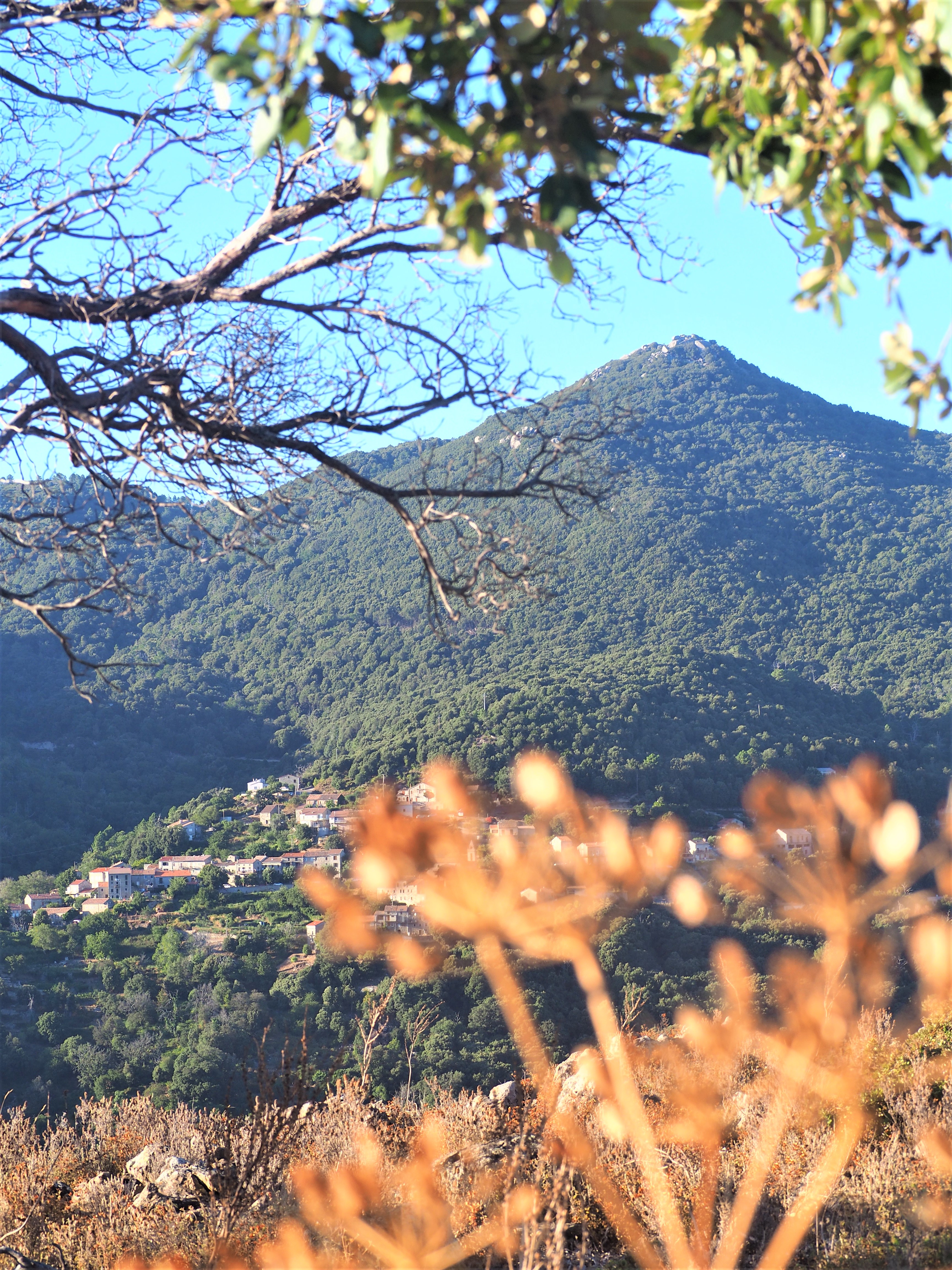 alta rocca village sorbollano