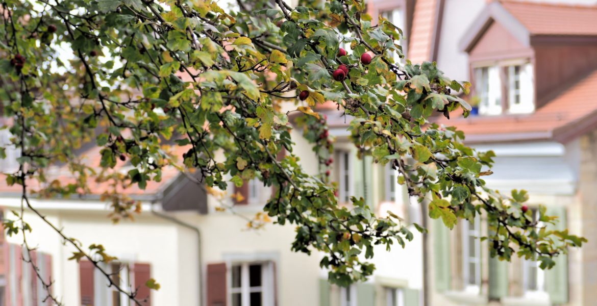 Automne, La cité Lausanne vieille ville clioandco blog voyage