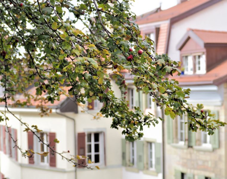 Automne, La cité Lausanne vieille ville clioandco blog voyage