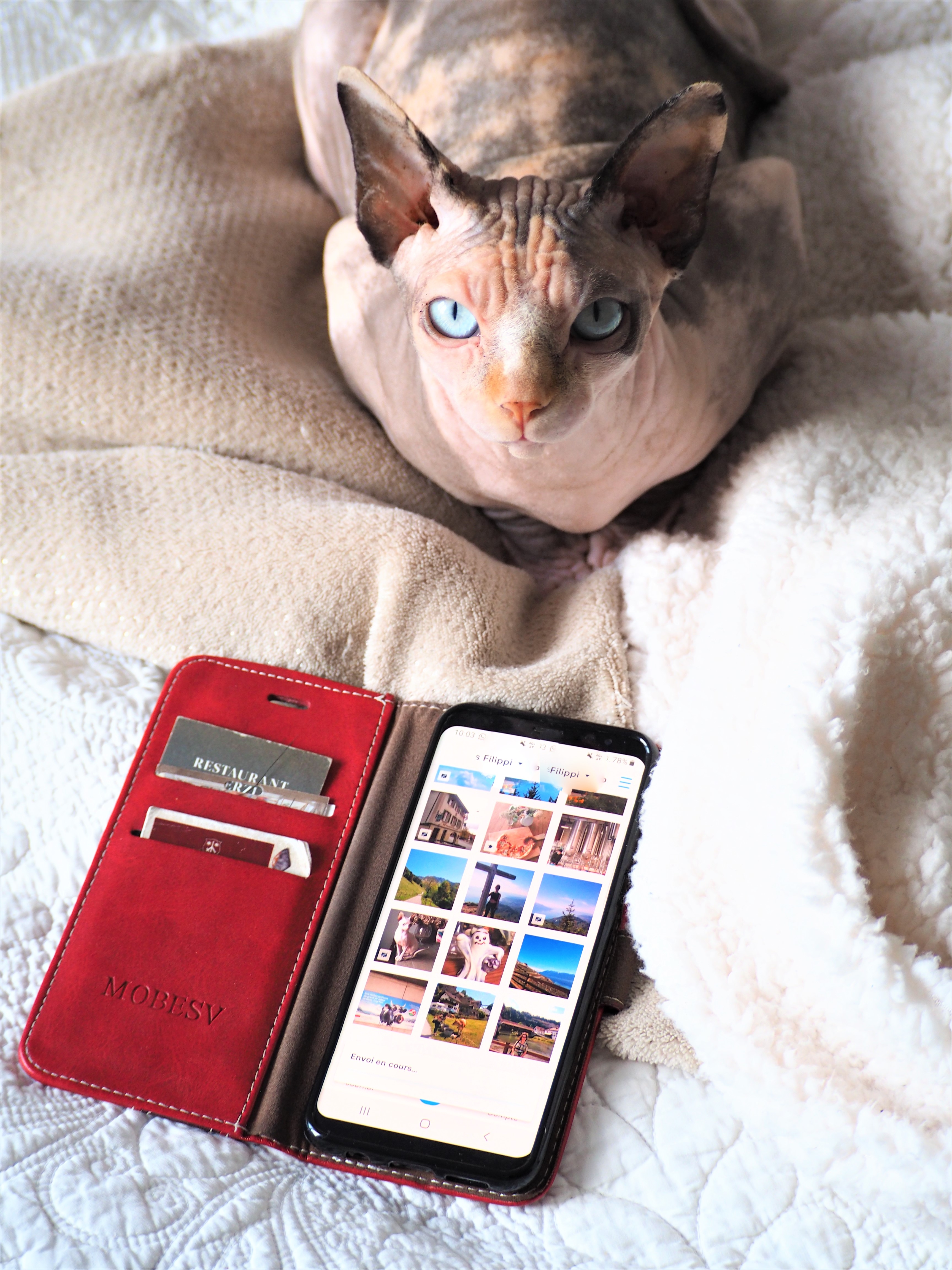 neveo journal photo papier application smartphone code promo