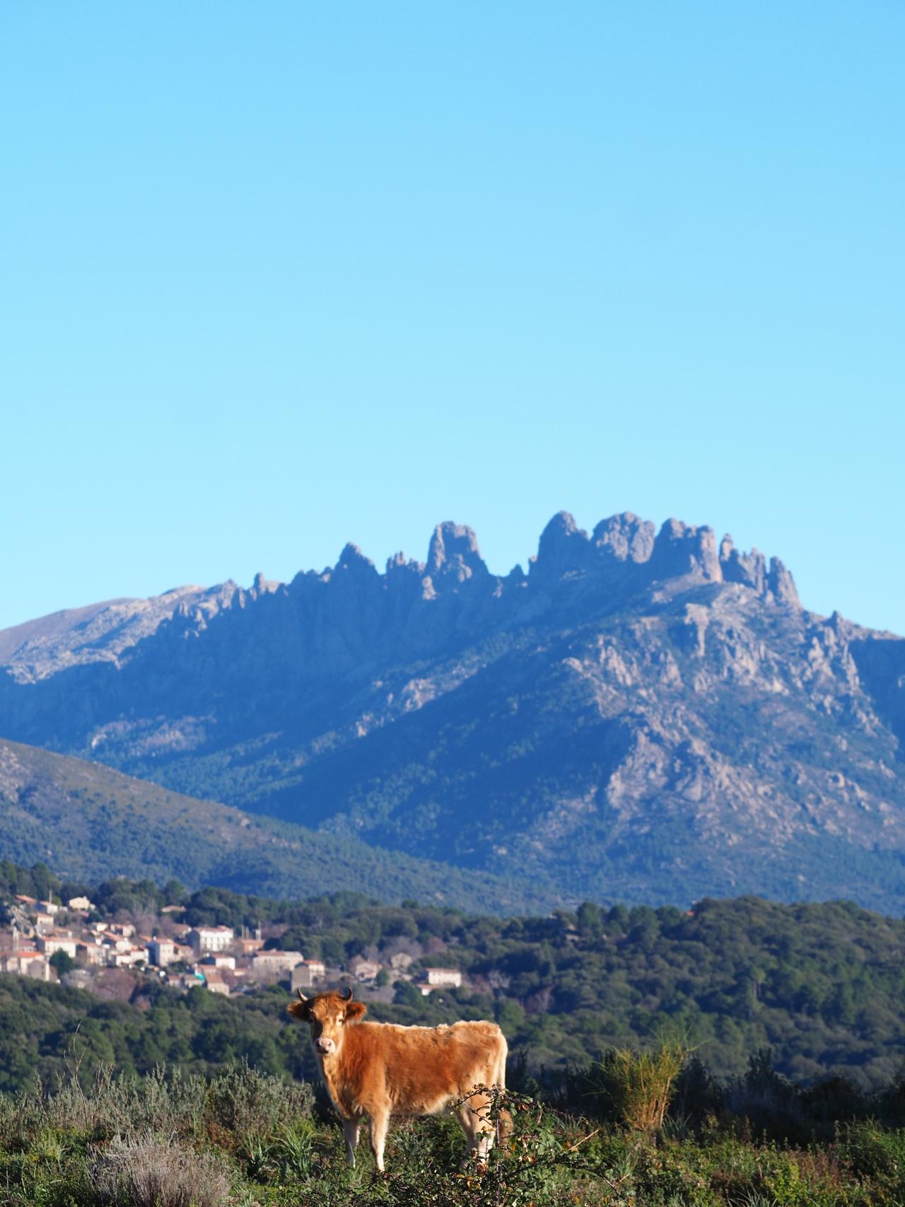 automne aiguilles de bavella weekend en corse blog voyage