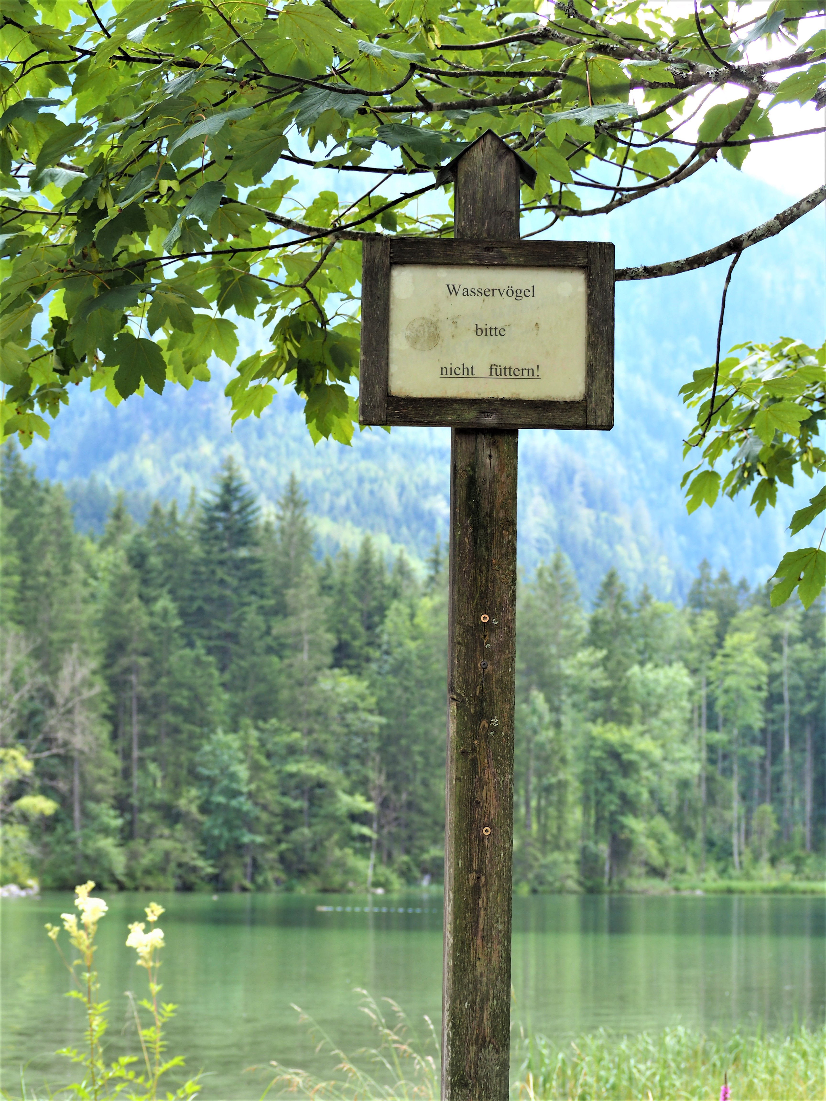 Allemagne-Baviere-clioandco-blog-voyage-proche-lac-Hintersee-panneau