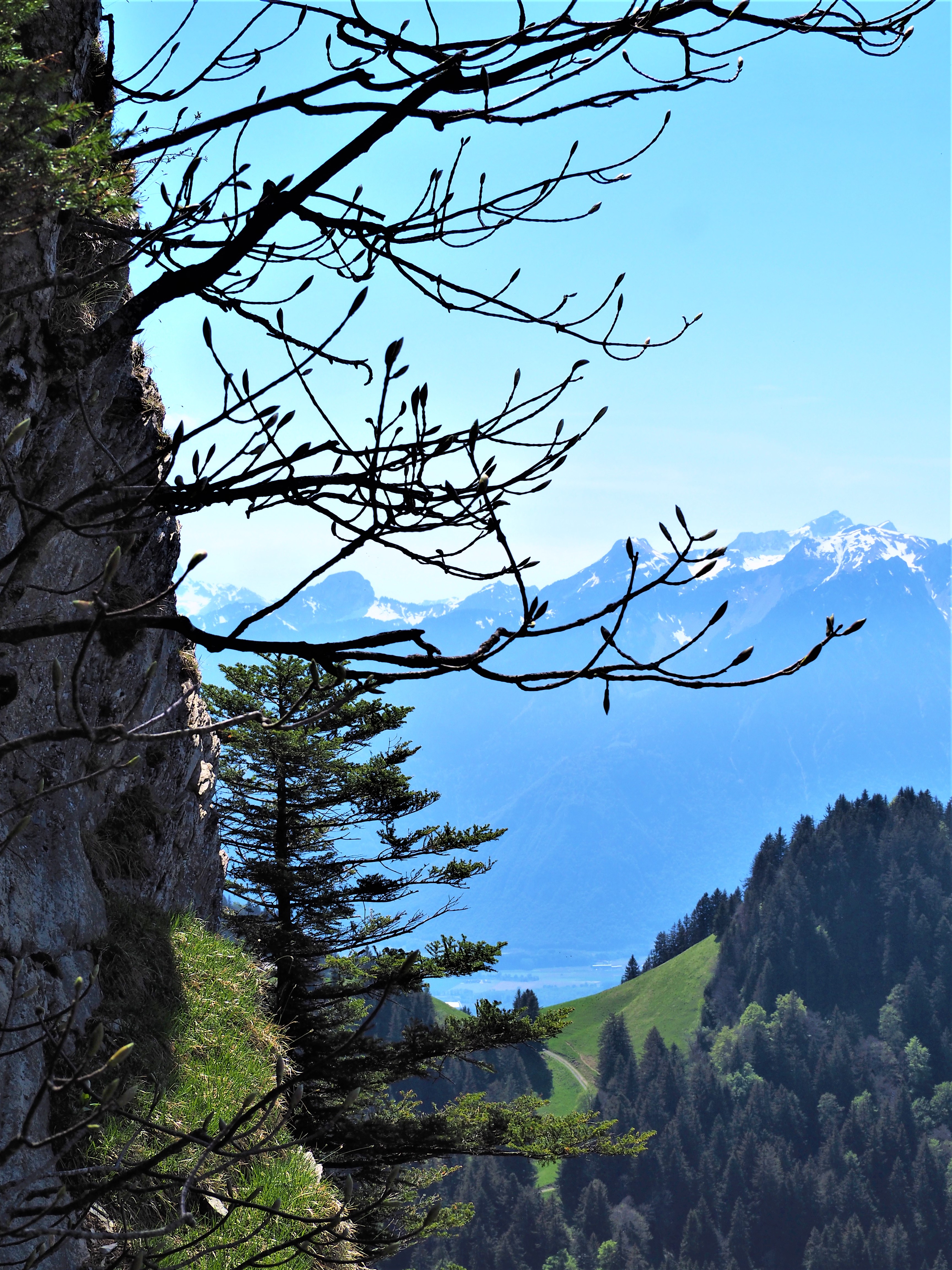 Randonnee-canton-de-Vaud-Dent-de-Jaman-paysage.