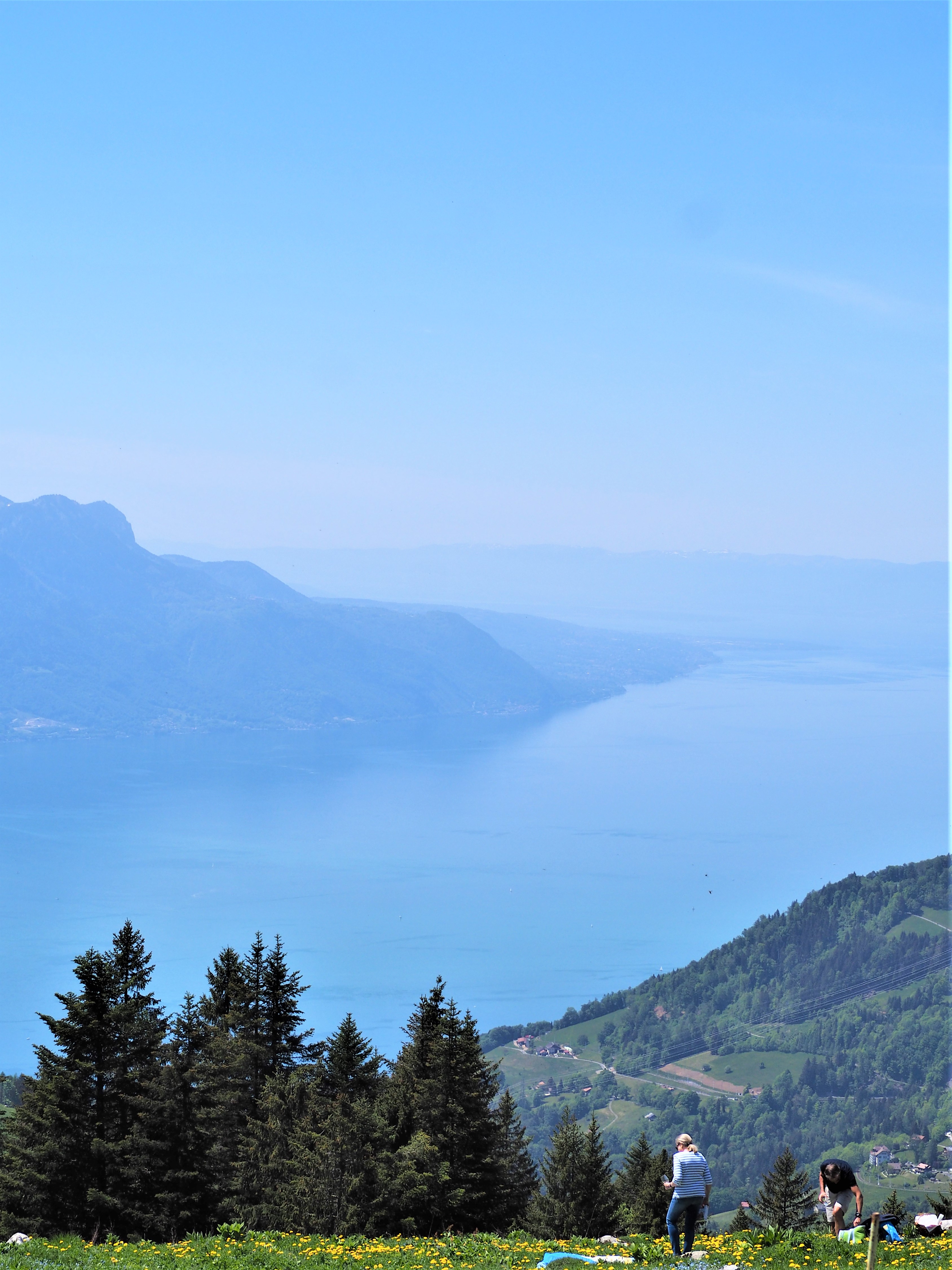 Suisse-randonnee-Dent-de-Jaman-canton-de-Vaud.