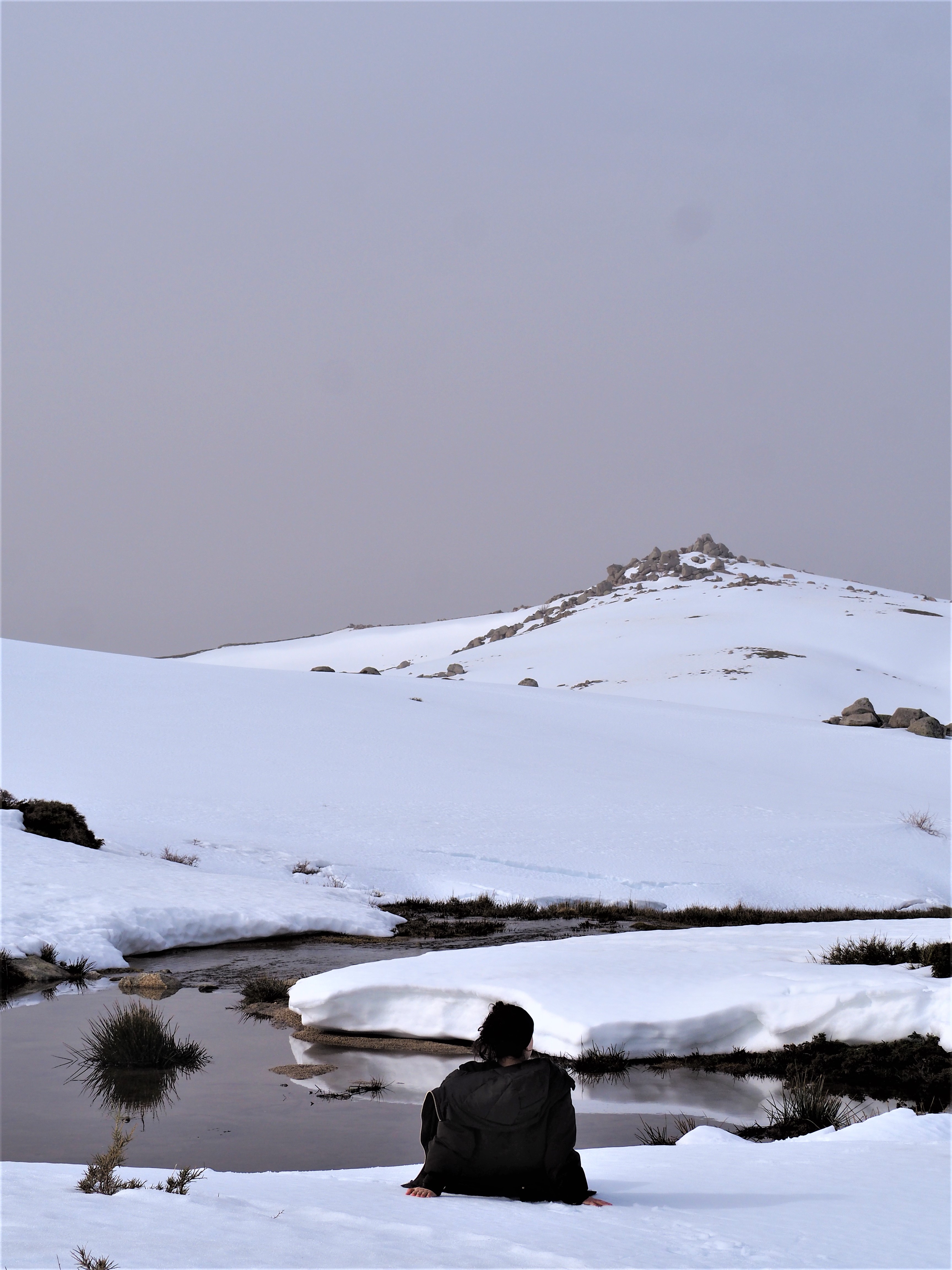 plateau du cuscionu hiver corse du sud alta rocca pozzines