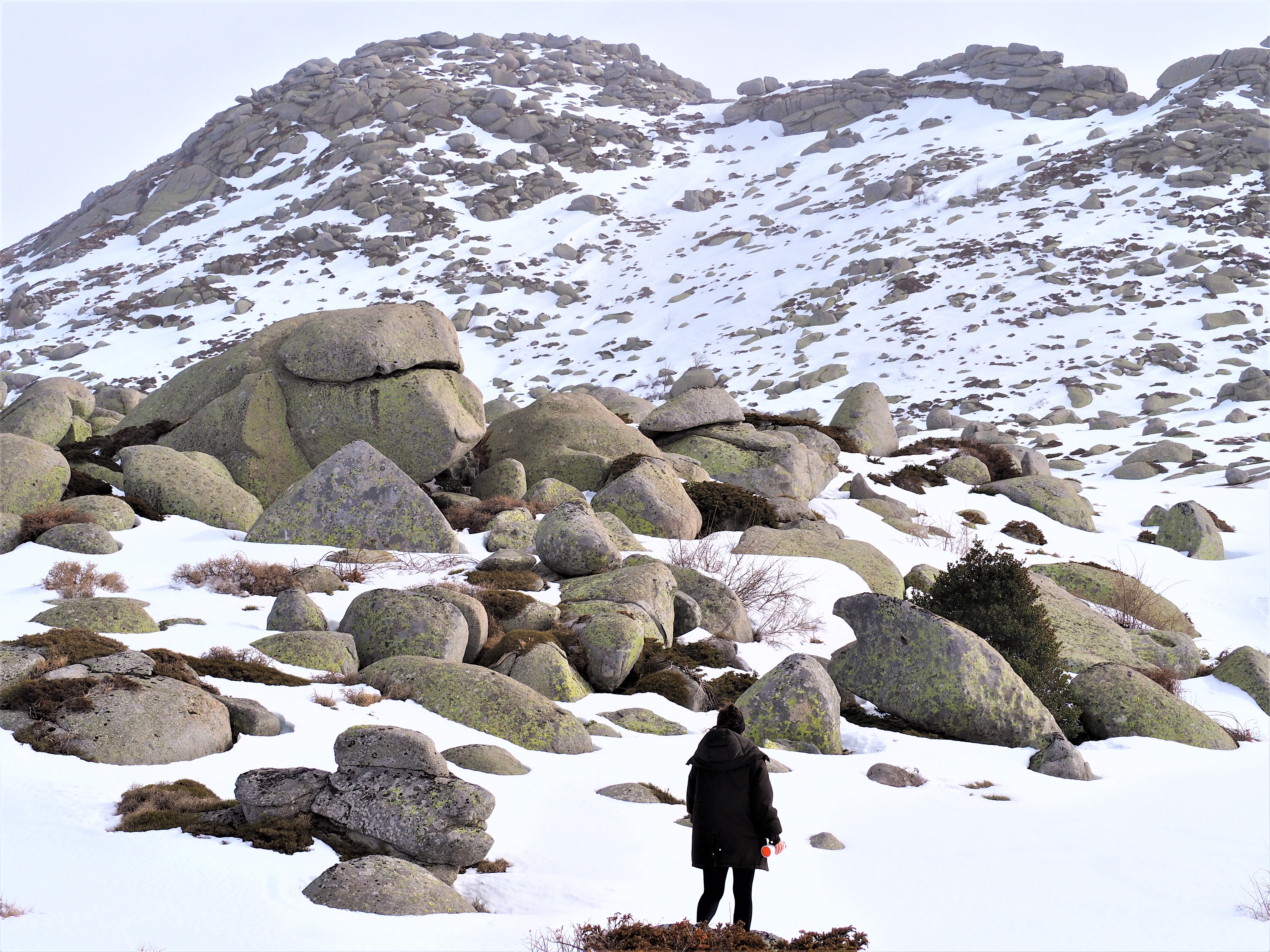 plateau du cuscionu hiver corse du sud alta rocca