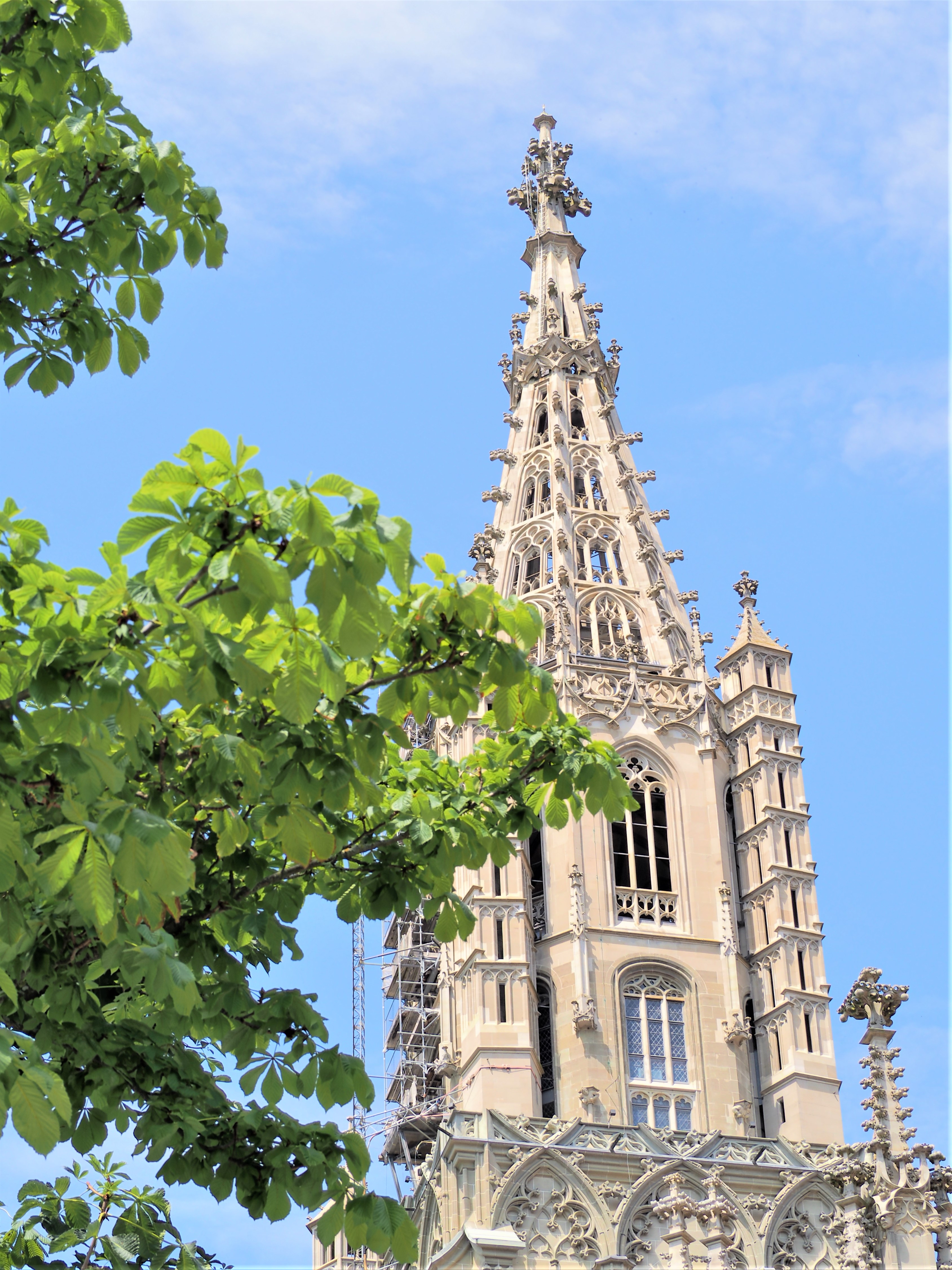 cathedrale de Berne ou collégiale sant vincent de berne suisse