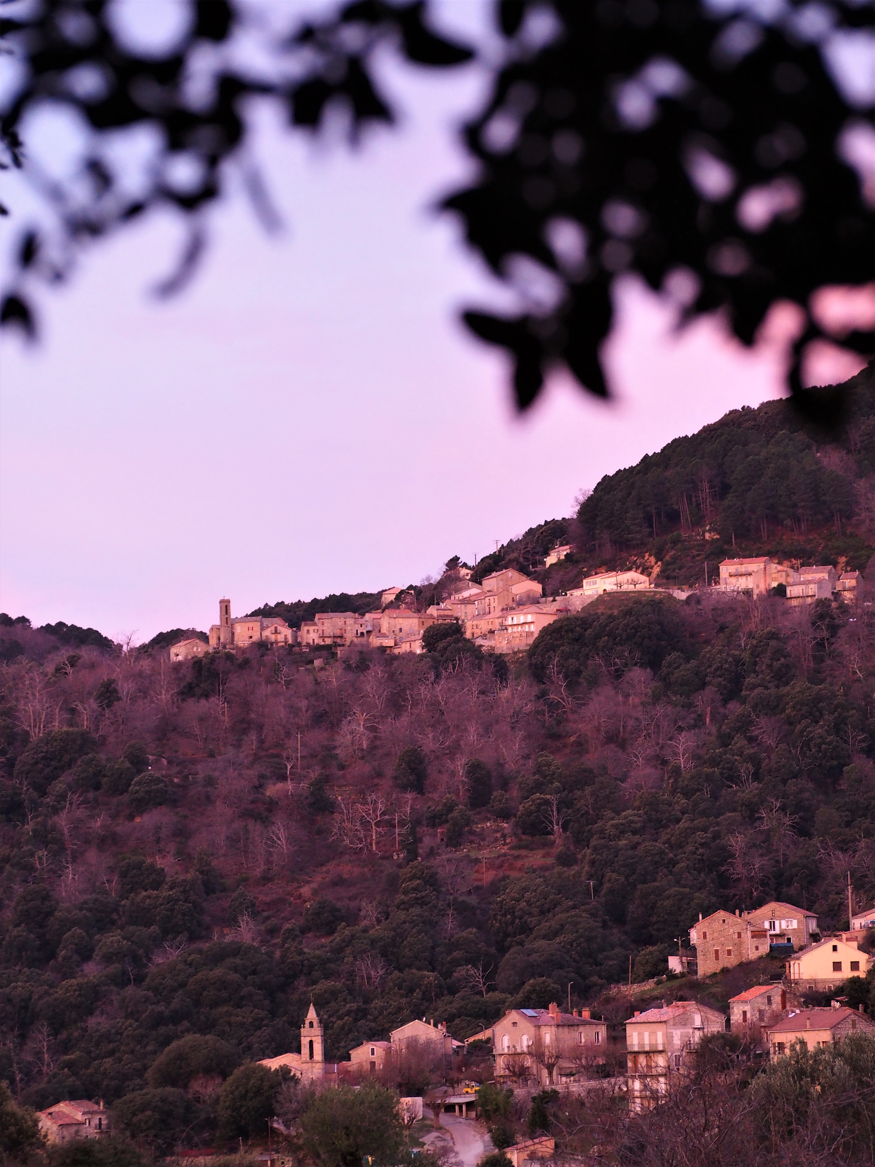 sorbollano et serra di scopamena corse