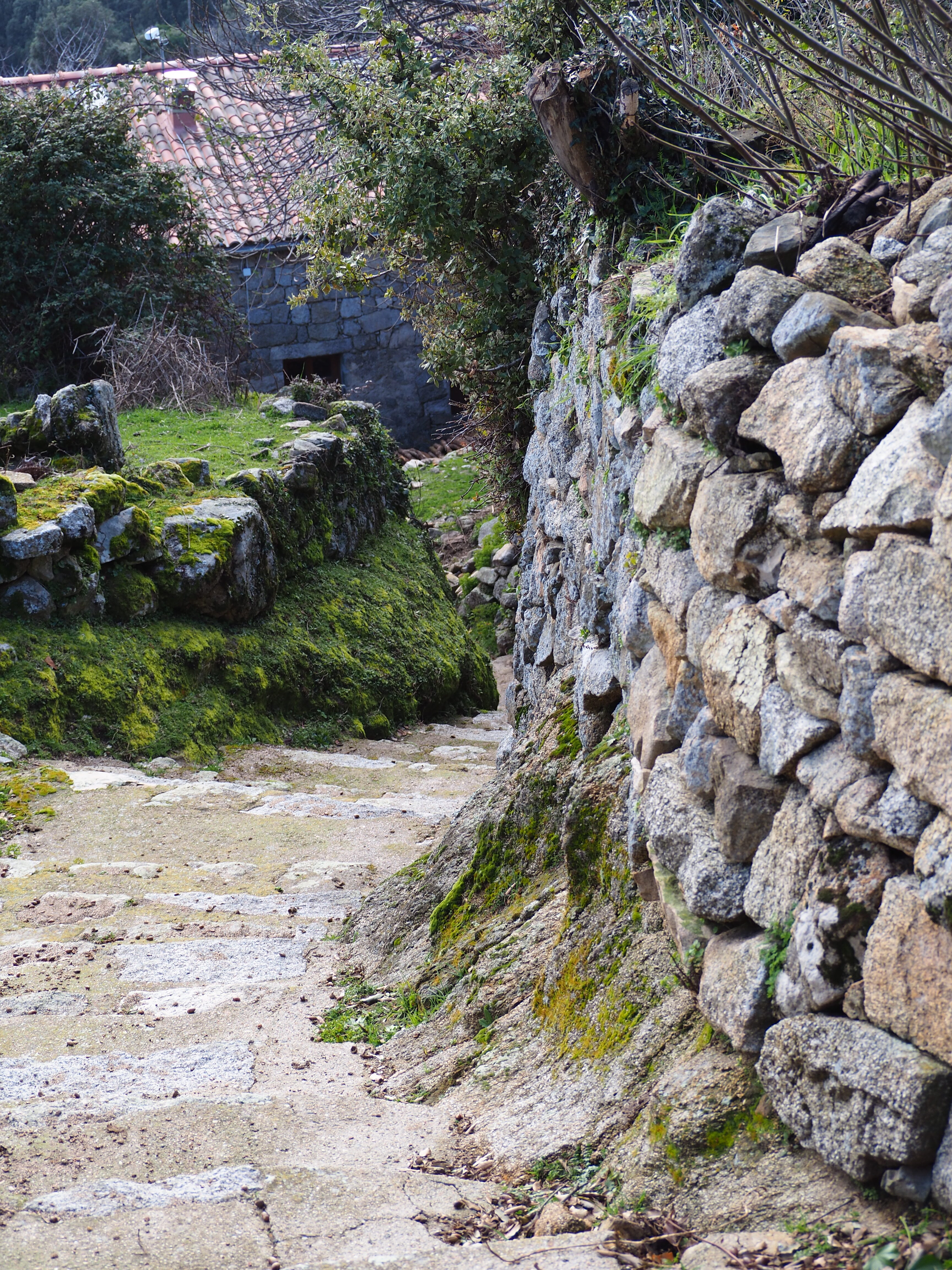 Village de Sorbollano Corse