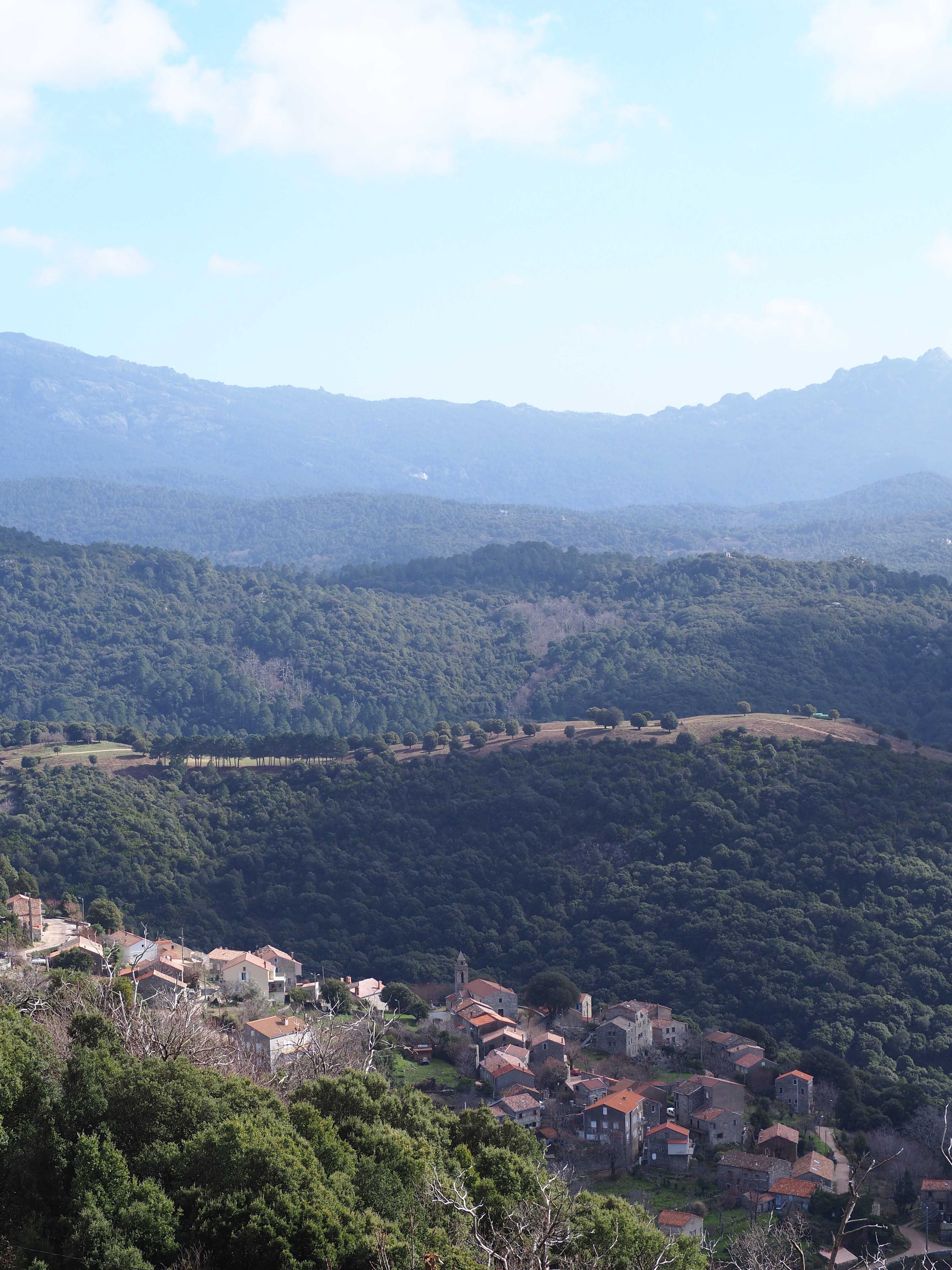 village-alta-rocca-serra-di-scopamena-corse-vue-