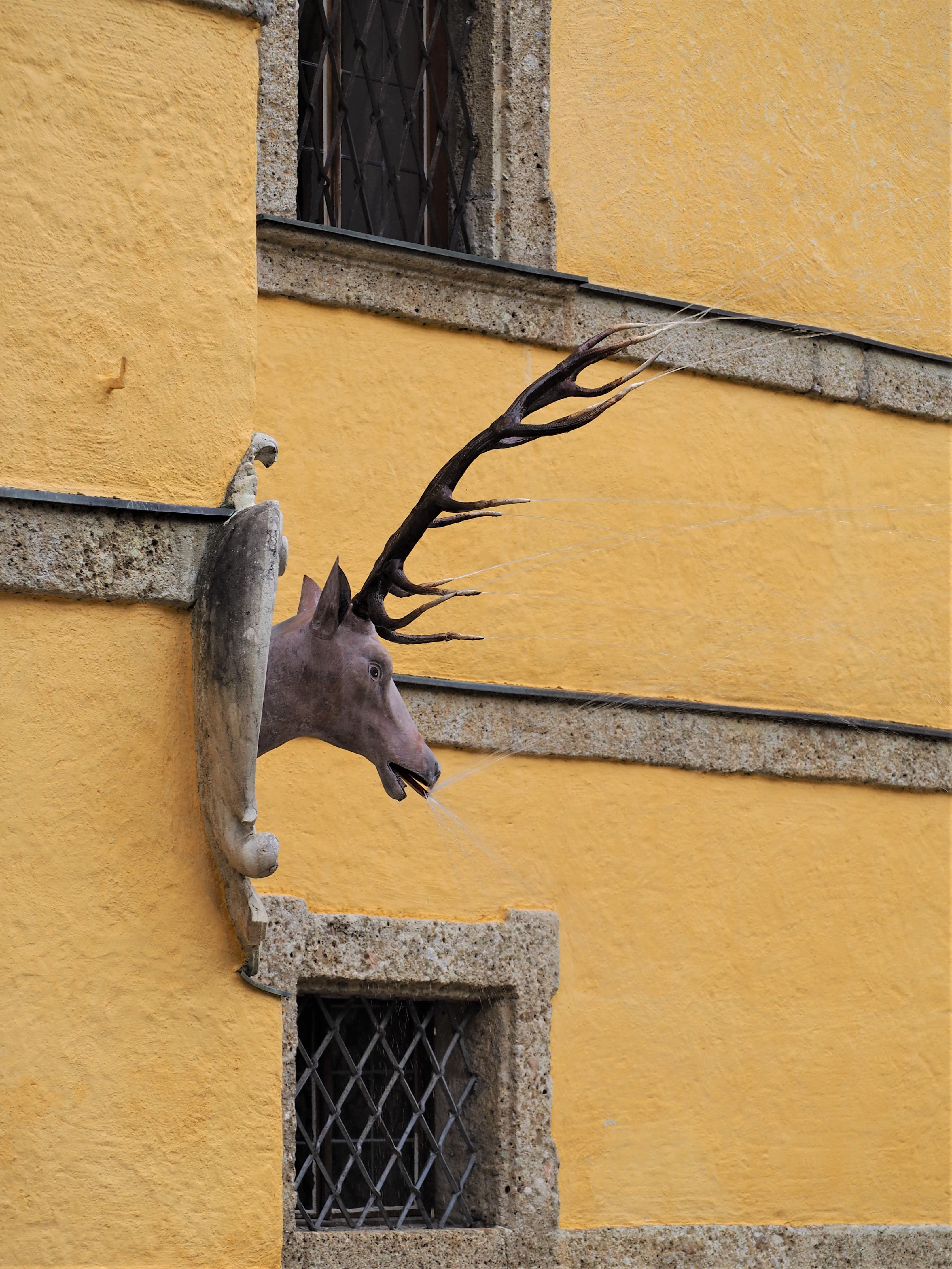 LE-CHATEAU-DE-HELLBRUN-salzbourg-autriche-jeau-deau-cerf