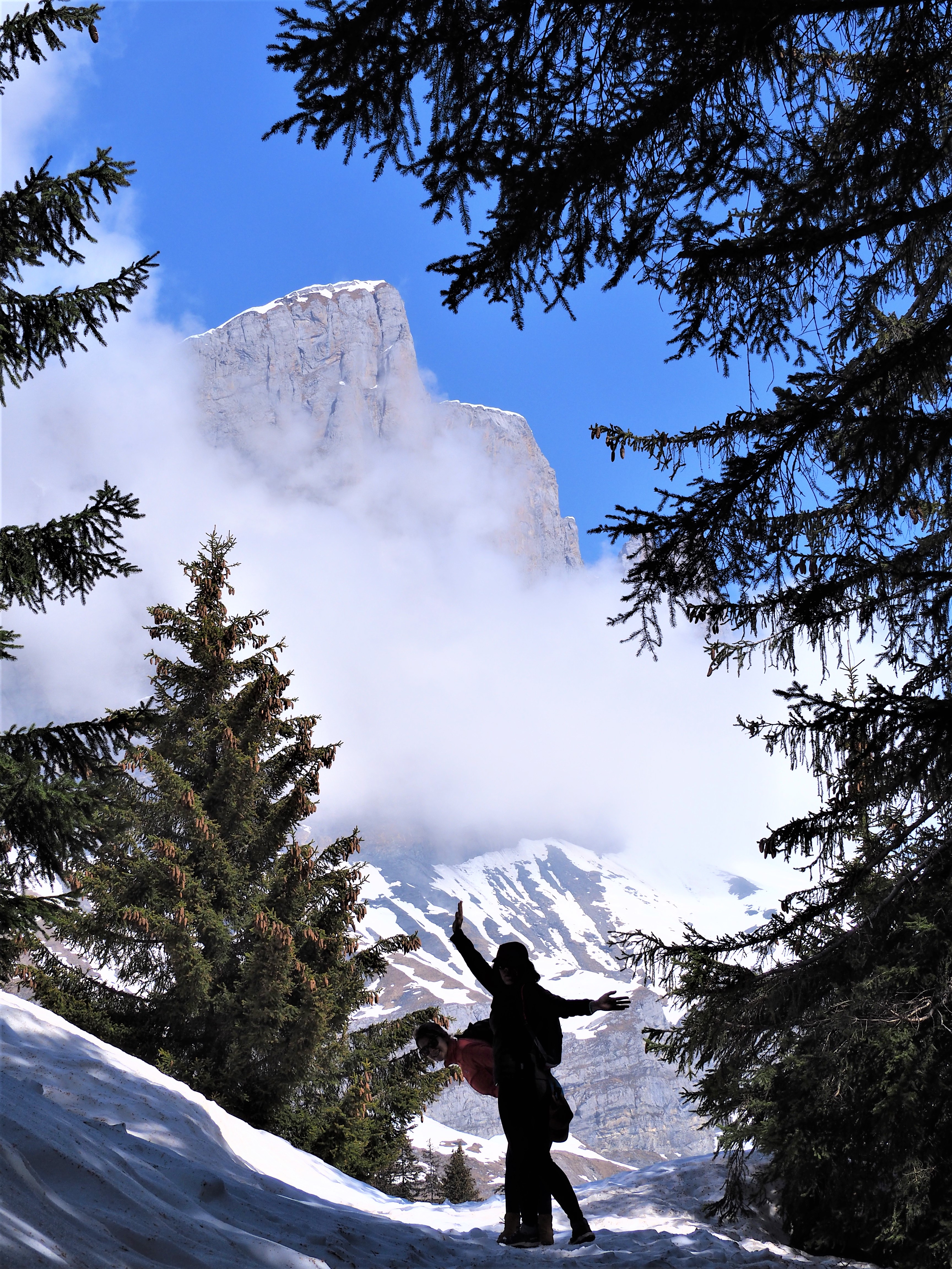 Alpes - randonnée