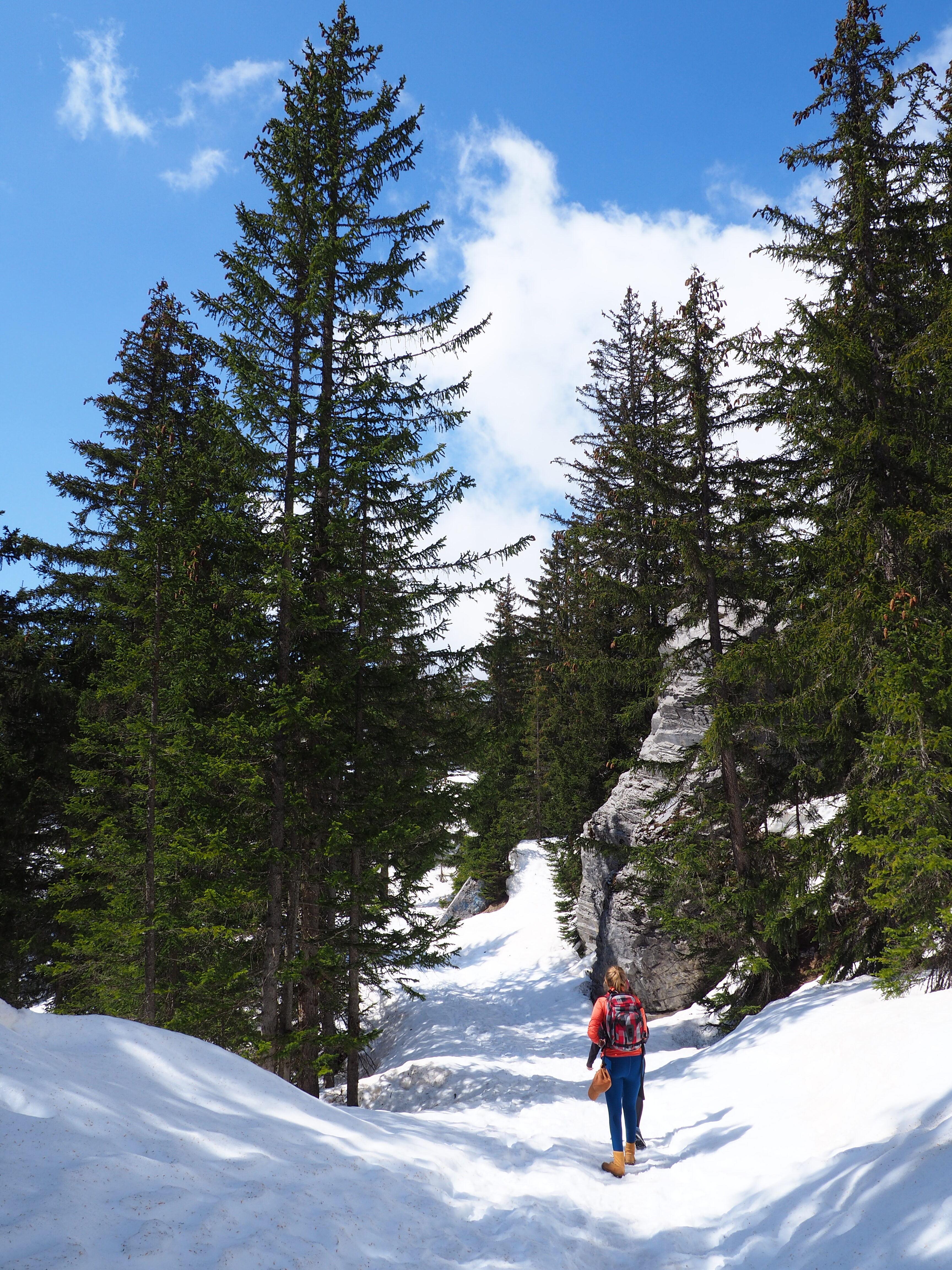 chamonix boucle de barmus randonnée