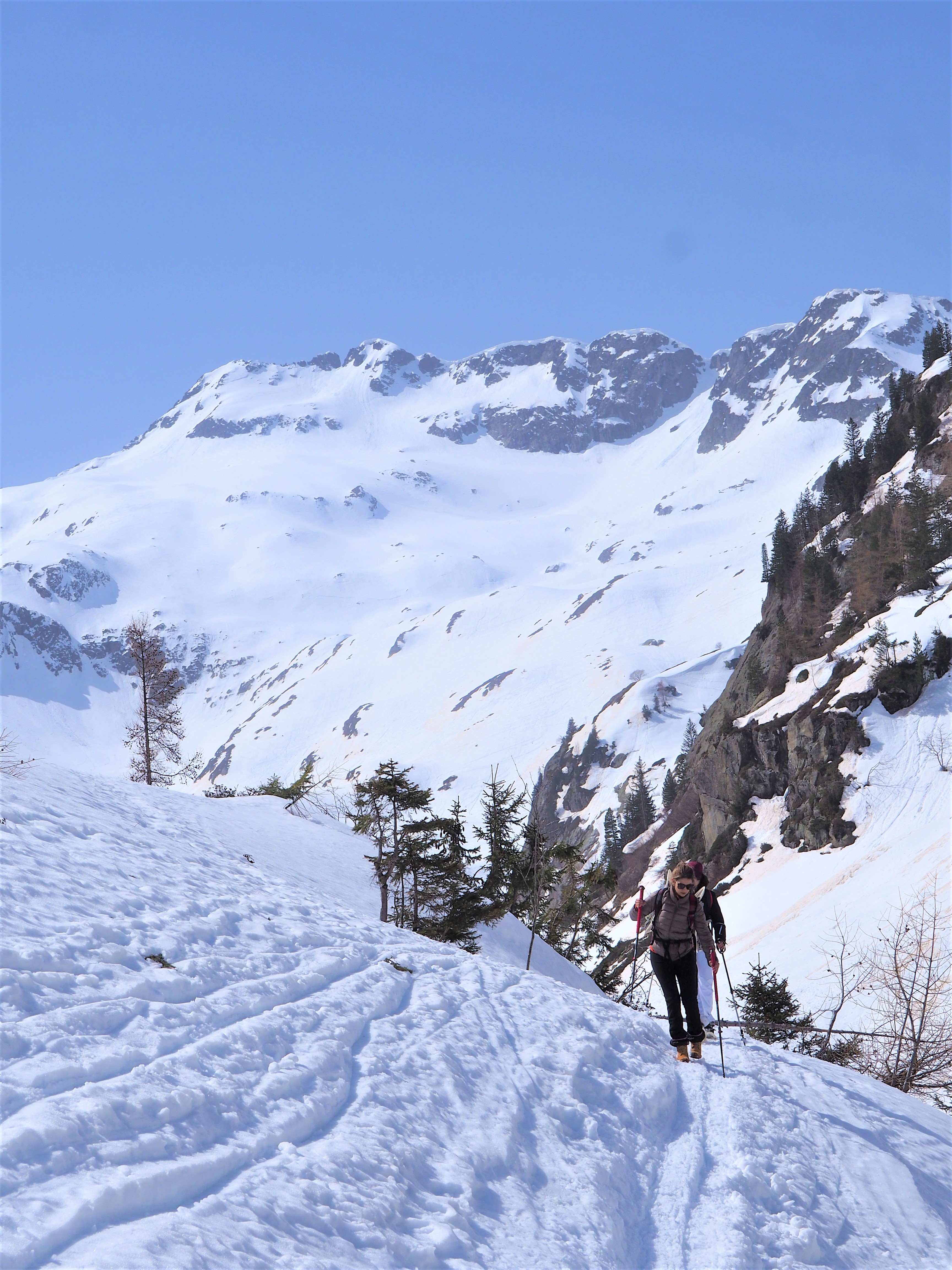 alpes randonnée col de salenton vallée de Berard