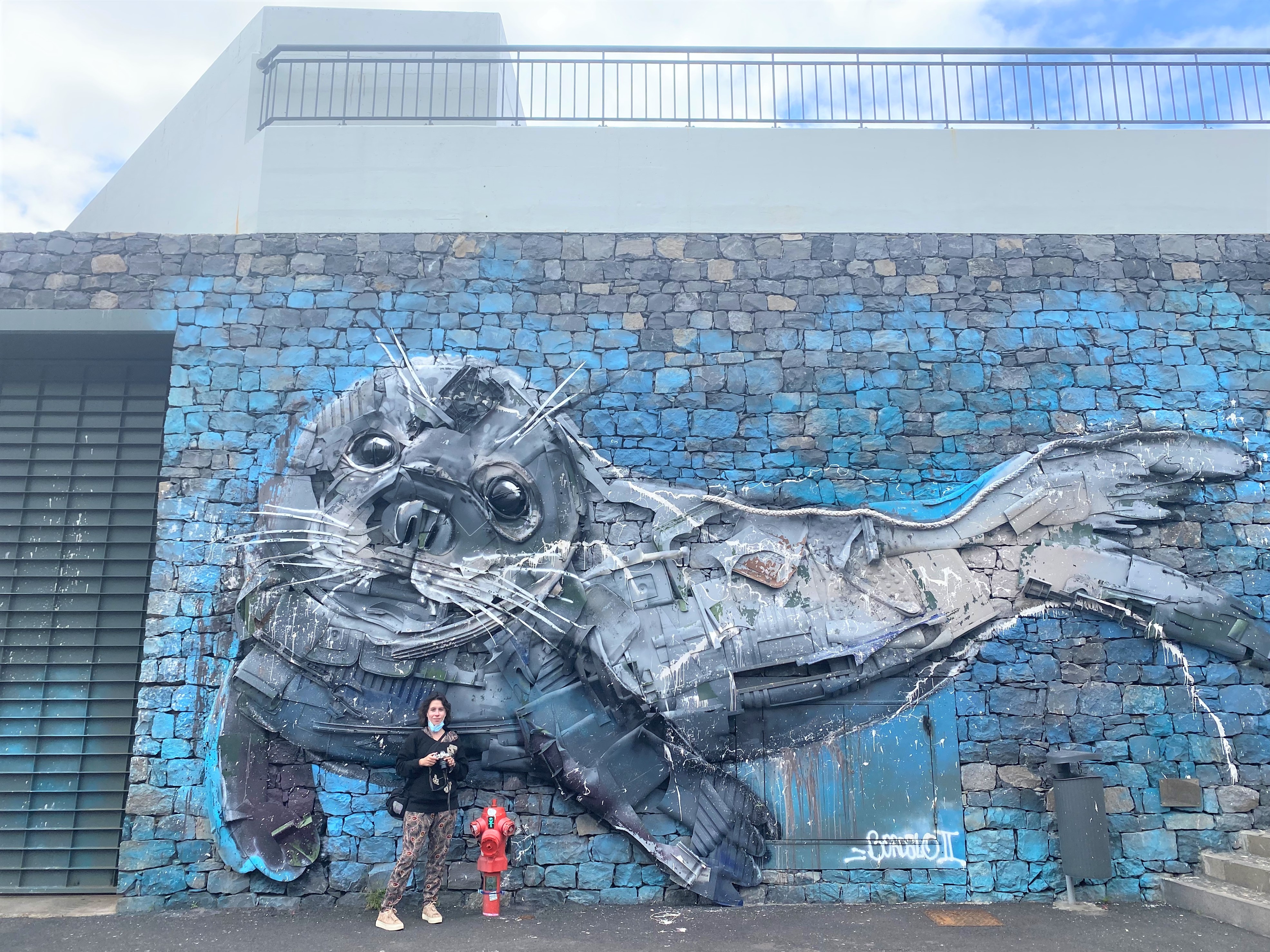 Câmara de lobos - Madère - Street art