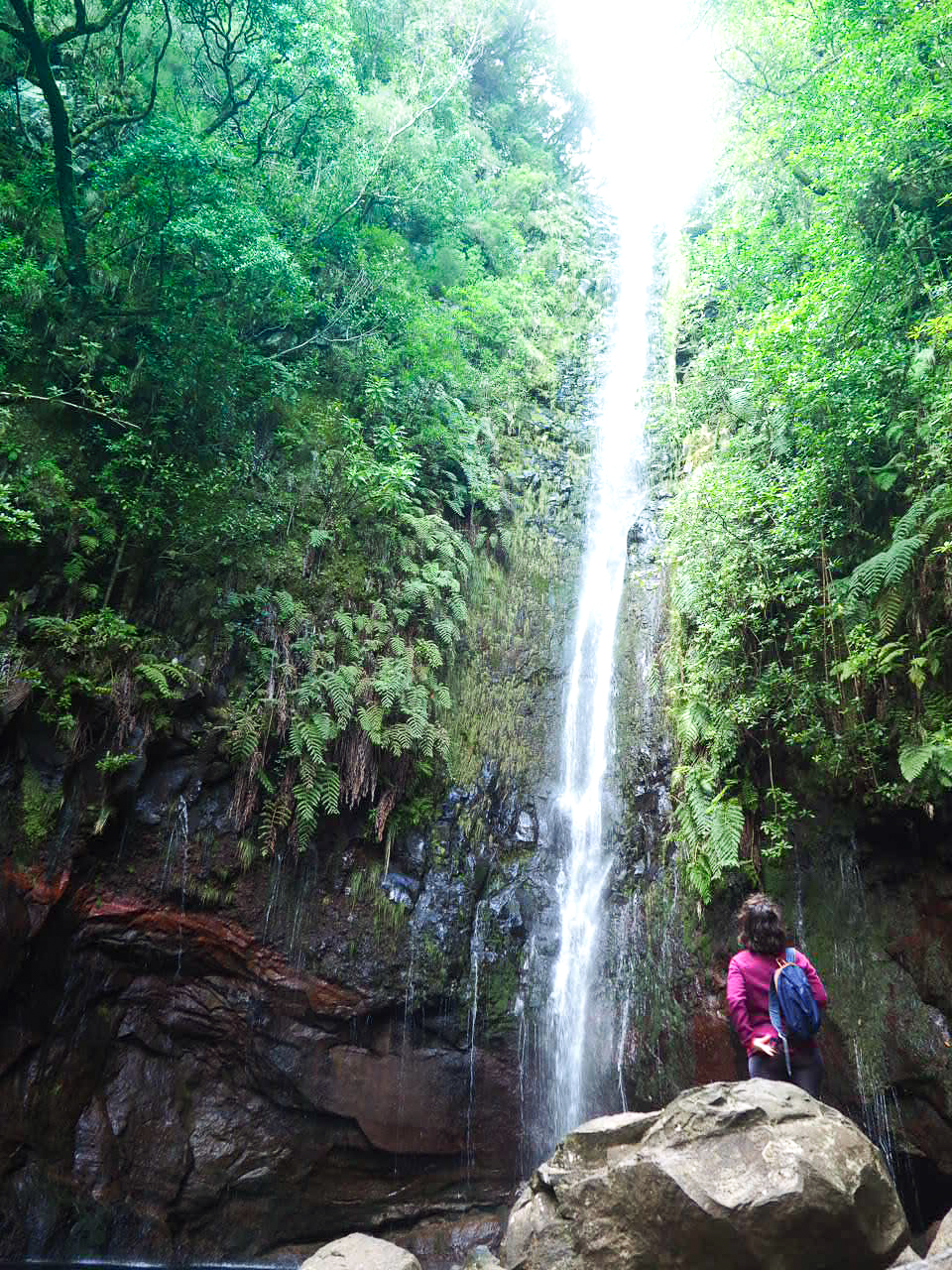 cascade randonnee des 25 fontaines Madere clioandco verdure