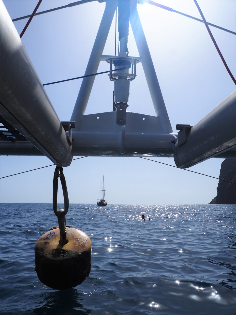 Catamaran Seaborn tour en bateau pour voir les dauphins et baleines