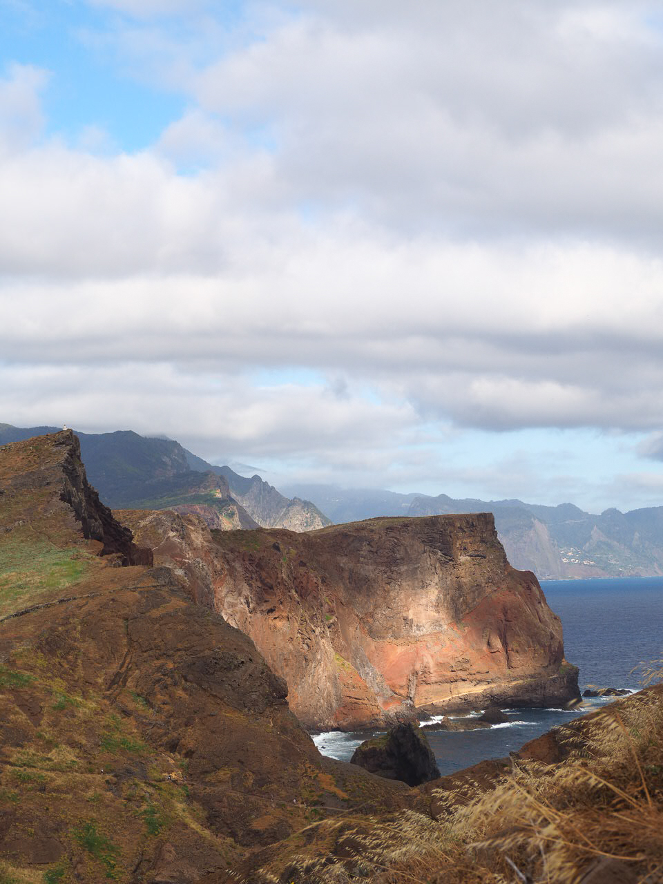 falaises-fleurs-Madere-randonnee-ponta-de-sao-lourenco