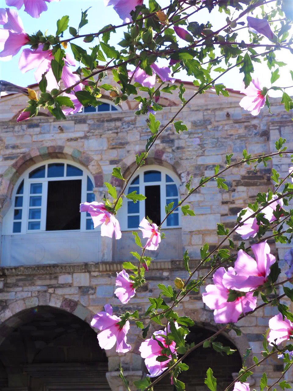 panaghia-Katapoliani-parikia-paros-cyclades-grece-fleurs