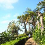 jardin tropical de monte funchal madere portugal