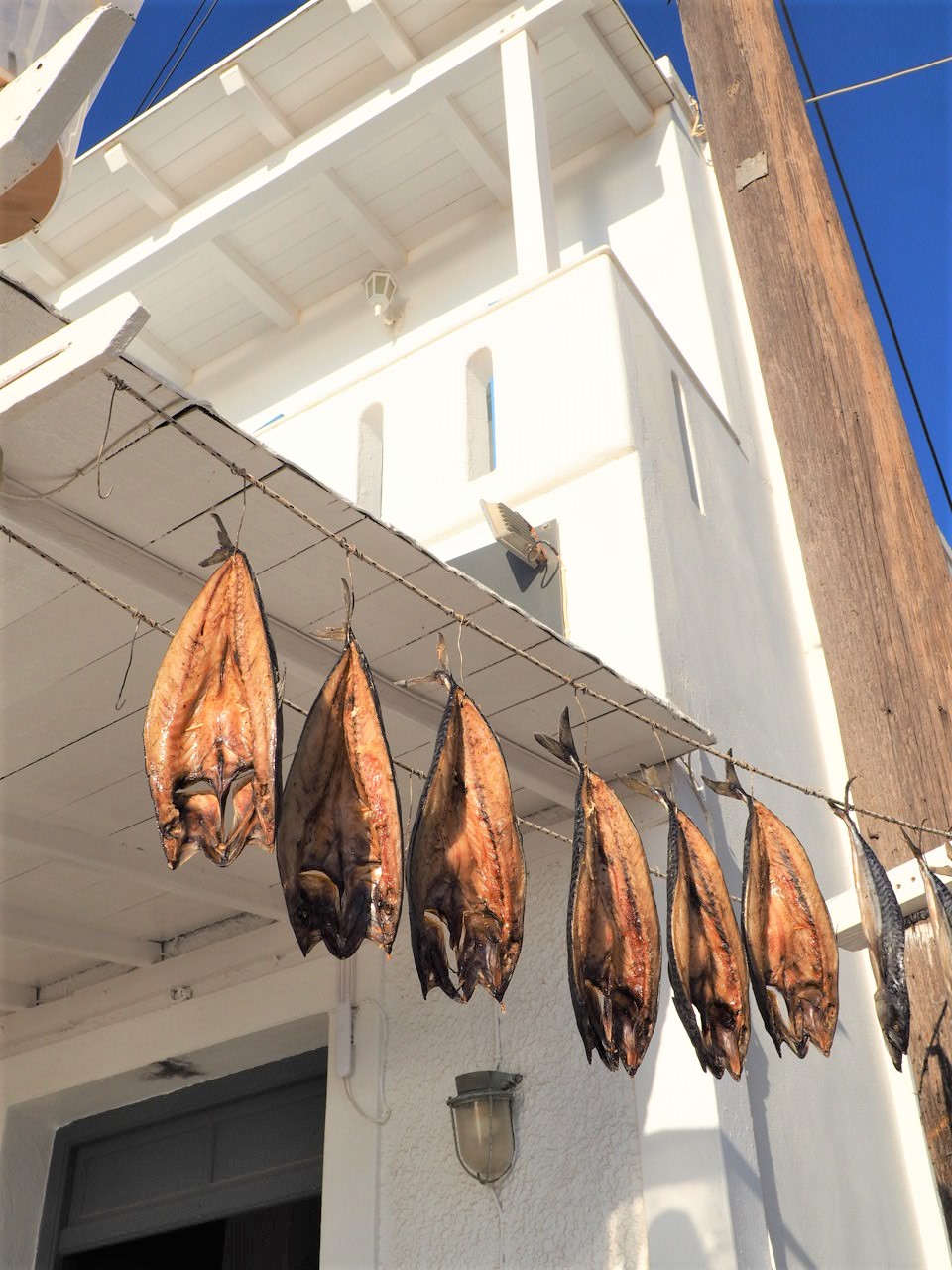 poisson-qui-seche-aliki-grece-paros-village-pecheurs.j