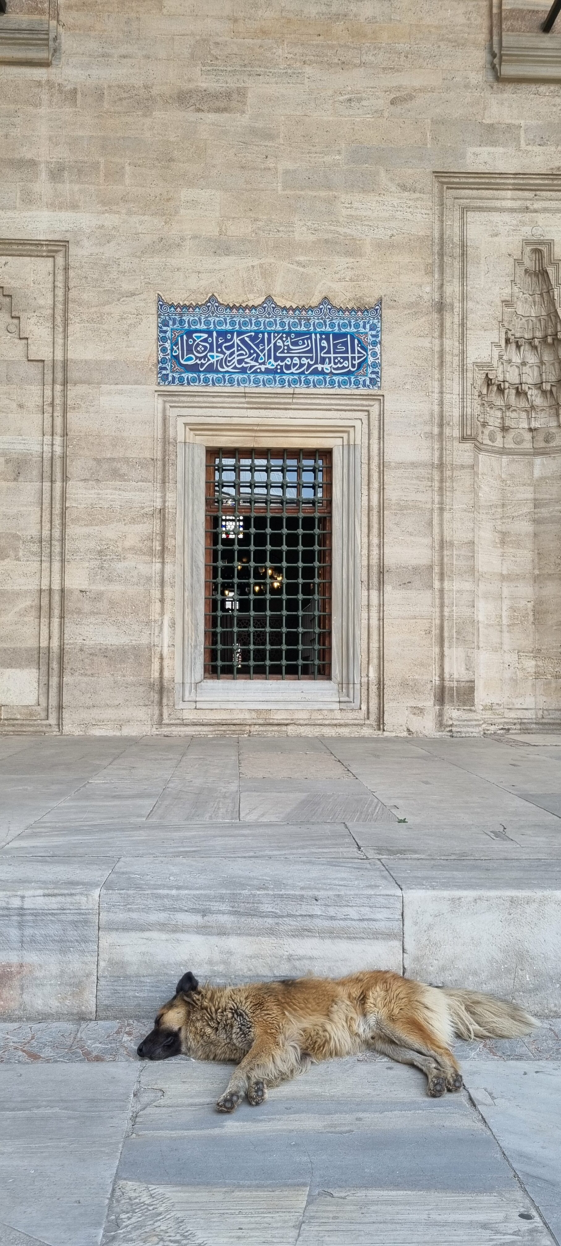 Mosquée Süleymaniye istanbul turquie