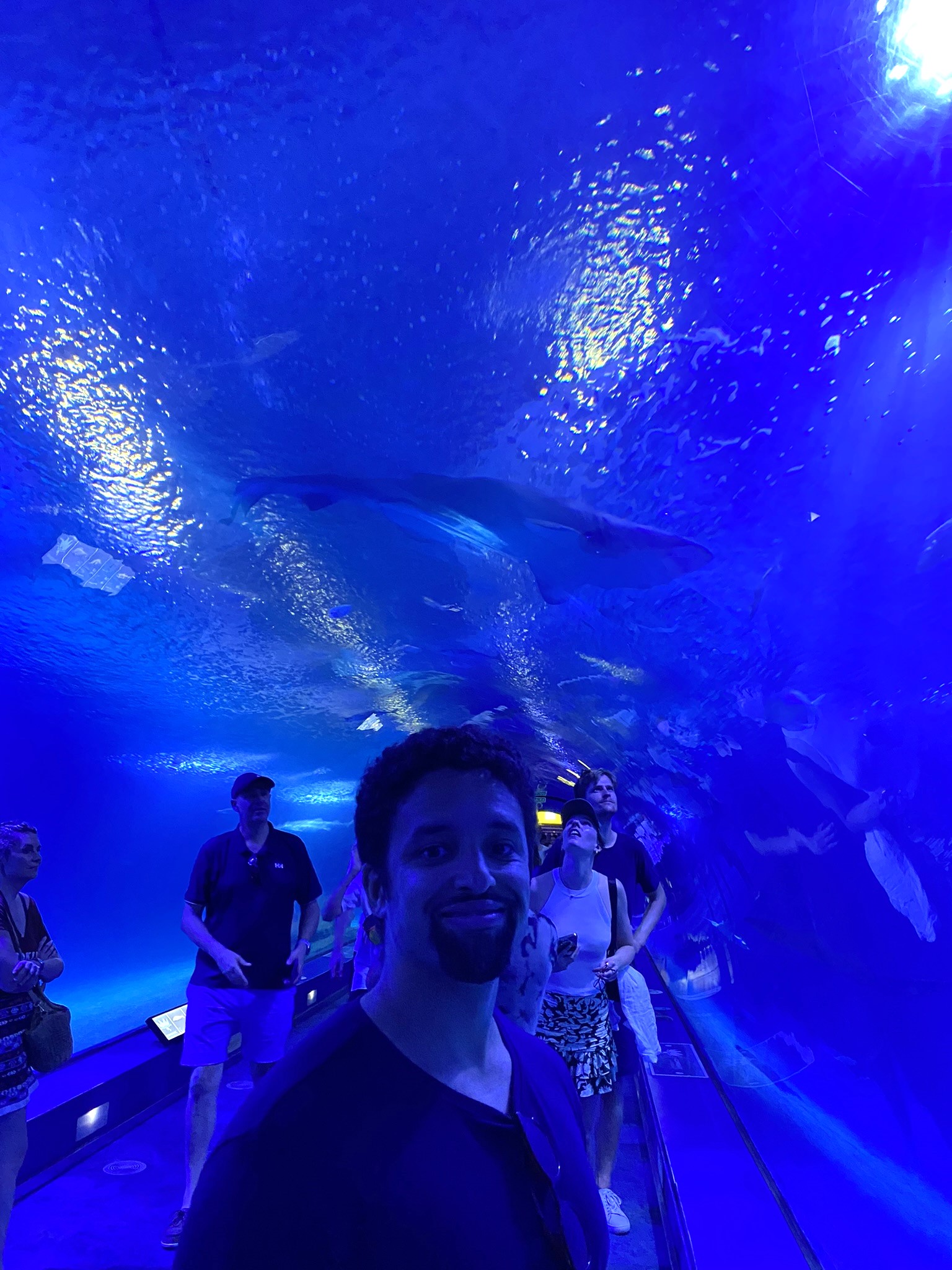 aquarium cite des arts et sciences valencia