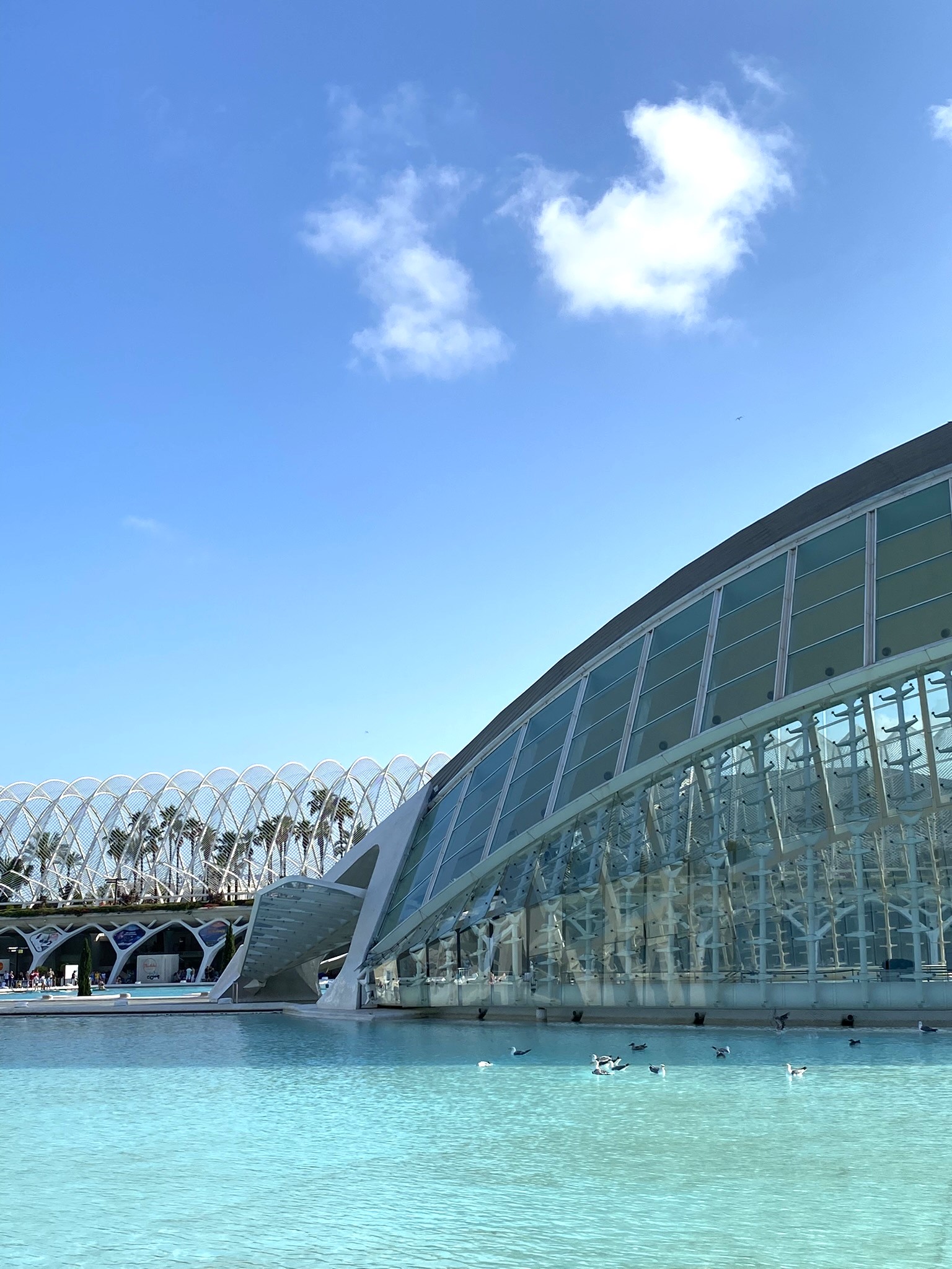 cite des arts et des sciences valencia avec umbracle